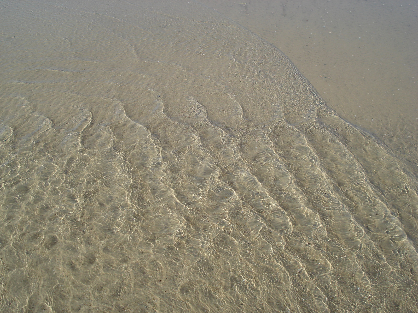 รูปถ่าย อิสราเอล(Israel) เฮิร์สลียา(Herzliya) 2006-12 117
