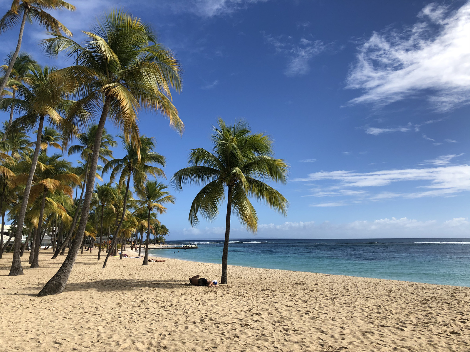 รูปถ่าย กวาเดอลูป(Guadeloupe) หาดลาการาแวล(La Caravelle Beach) 2021-02 139