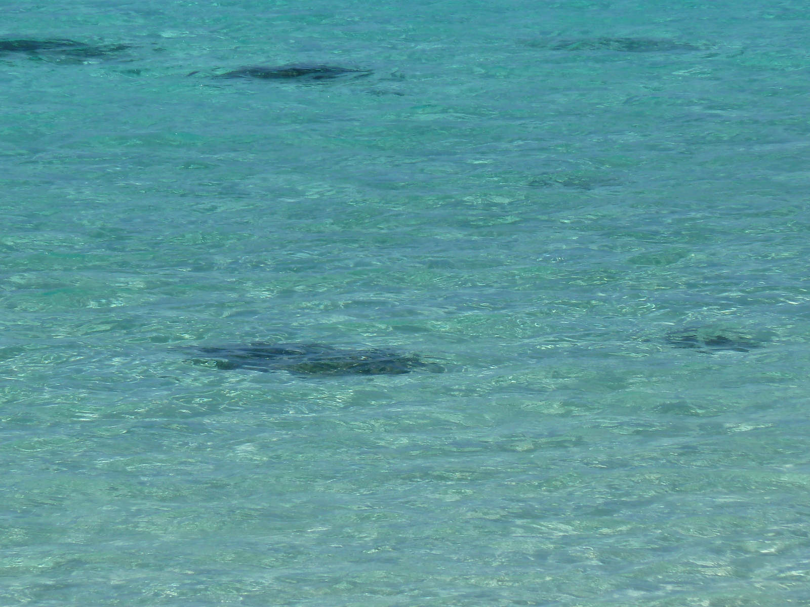 รูปถ่าย นิวแคลิโดเนีย(New Caledonia) เกาะลีฟู(Lifou) หมู่บ้านมู(Mu) 2010-05 8