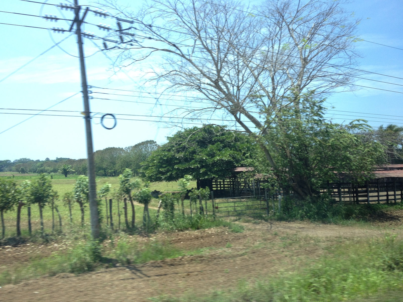 รูปถ่าย คอสตาริกา(Costa Rica) ฆาโก(Jaco) 2015-03 66