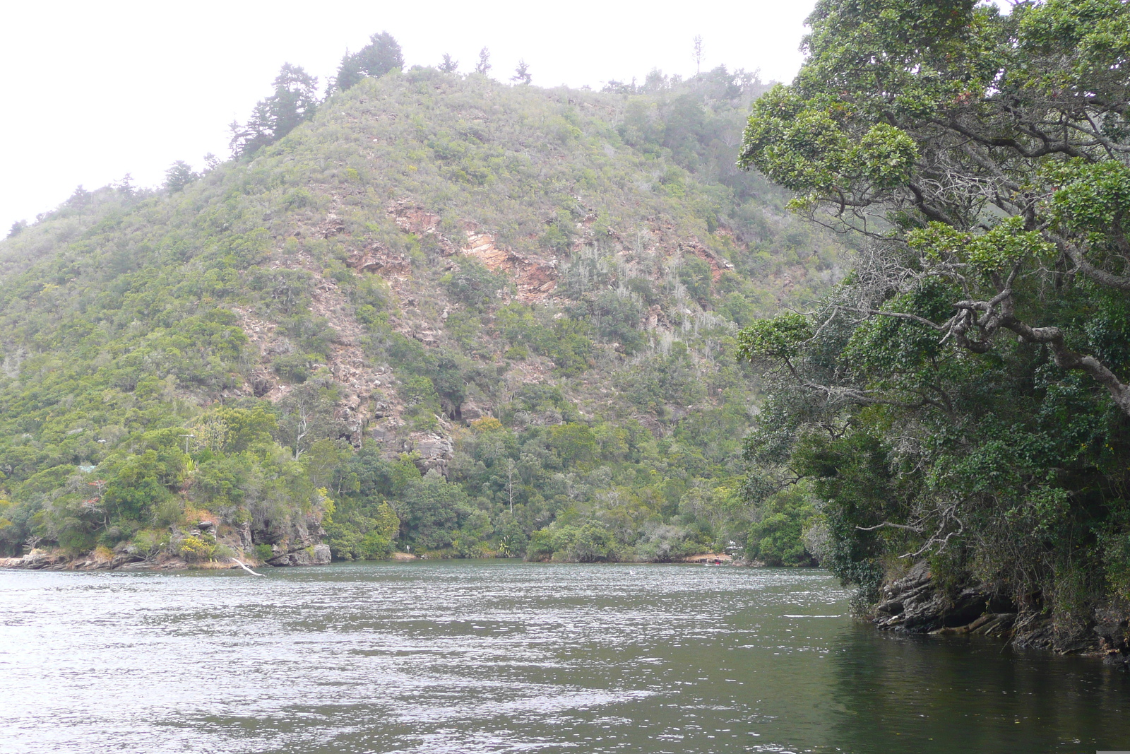 รูปถ่าย แอฟริกาใต้(South Africa) ถนนจากเฮอร์มานัสไปไนส์นา(Harmanus to Knysna road) 2008-09 24