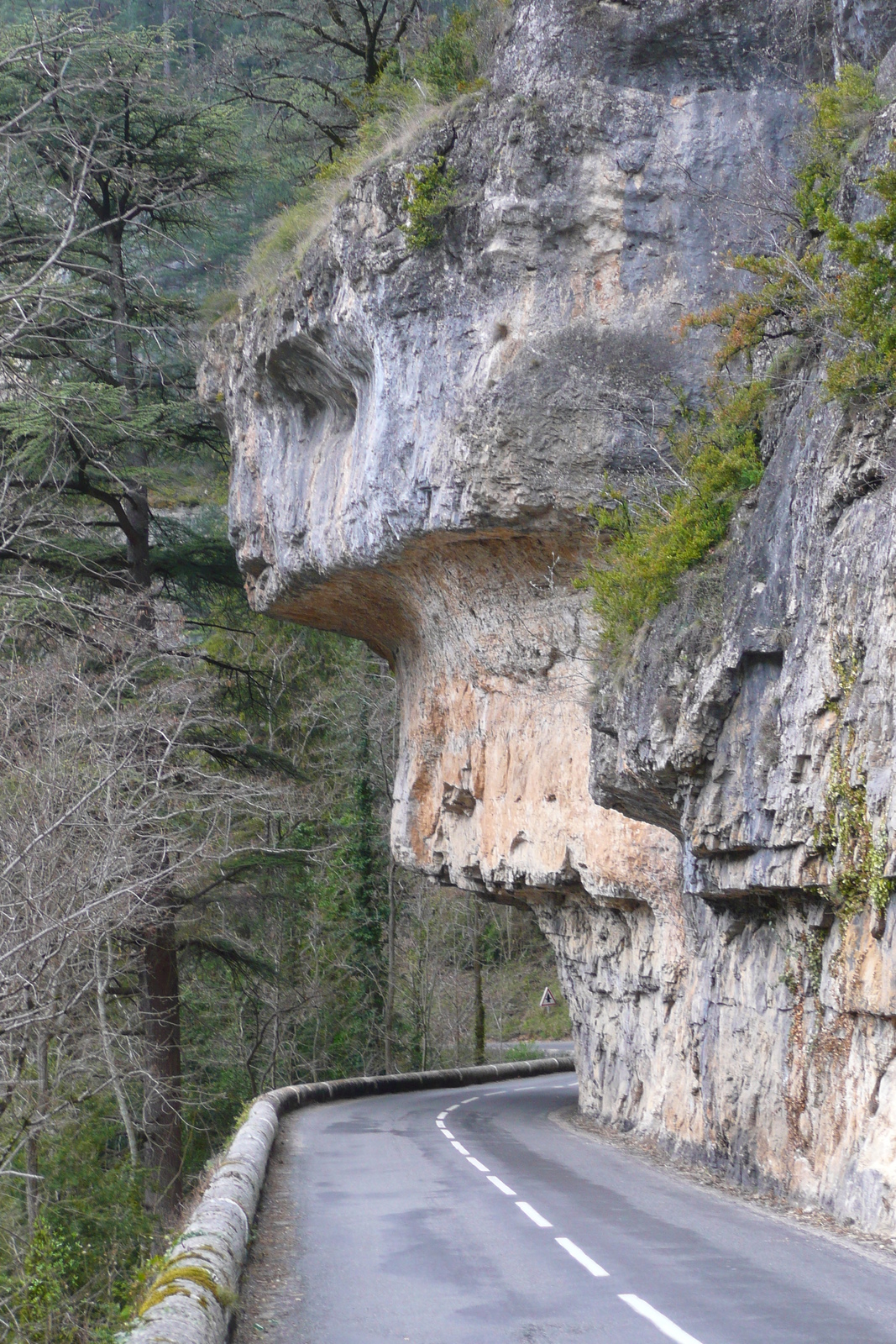รูปถ่าย ฝรั่งเศส(France) หุบผาชันตาร์น(Gorges du Tarn) 2008-04 39