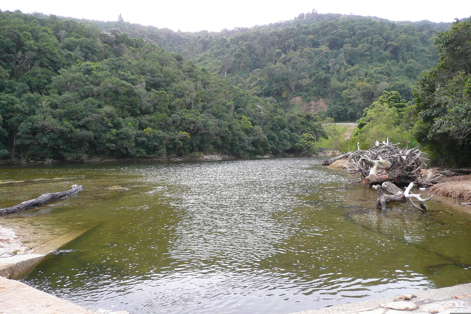 รูปถ่าย แอฟริกาใต้(South Africa) ถนนจากเฮอร์มานัสไปไนส์นา(Harmanus to Knysna road) 2008-09 133