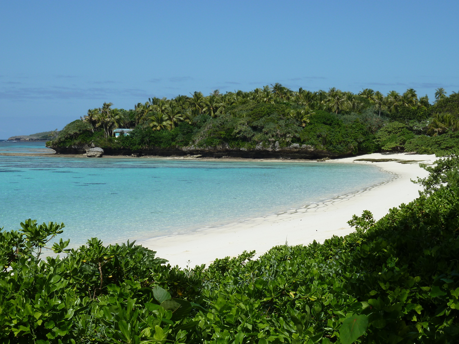 รูปถ่าย นิวแคลิโดเนีย(New Caledonia) 2010-05 109