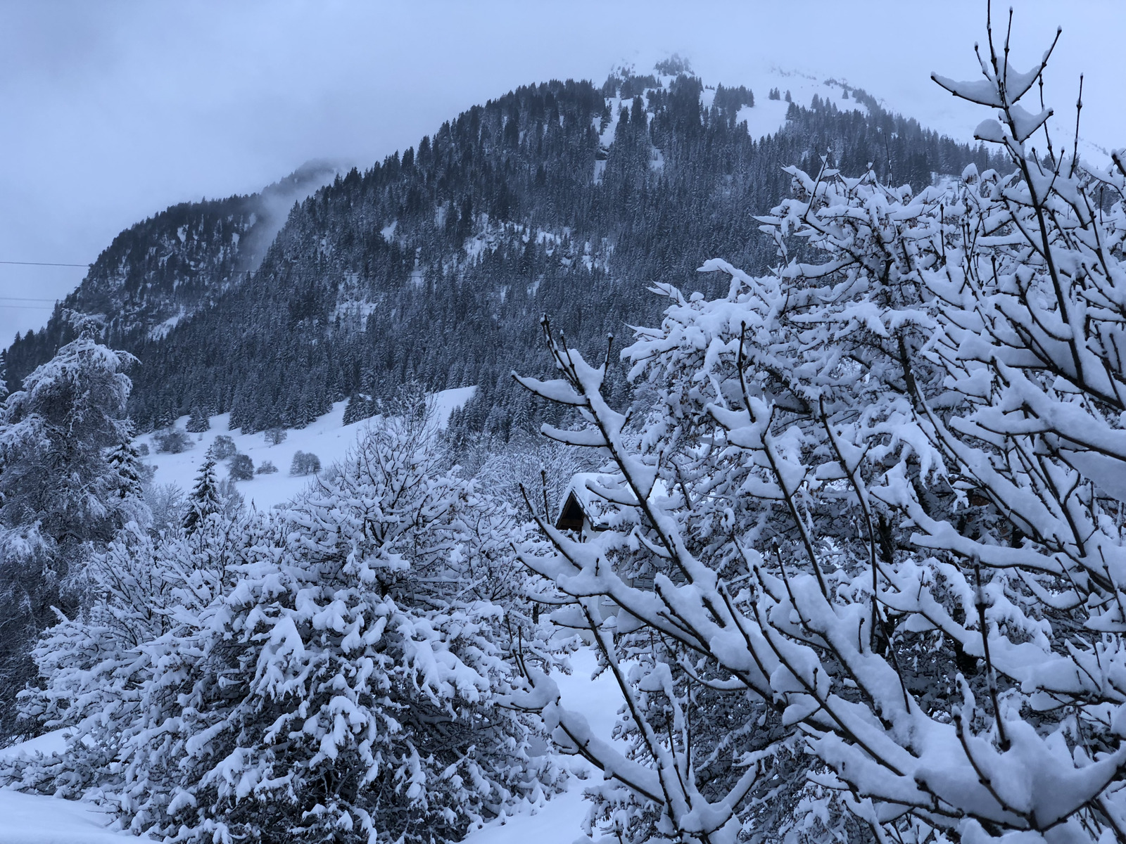 รูปถ่าย ฝรั่งเศส(France) ลากลูซา(La Clusaz) 2017-12 332