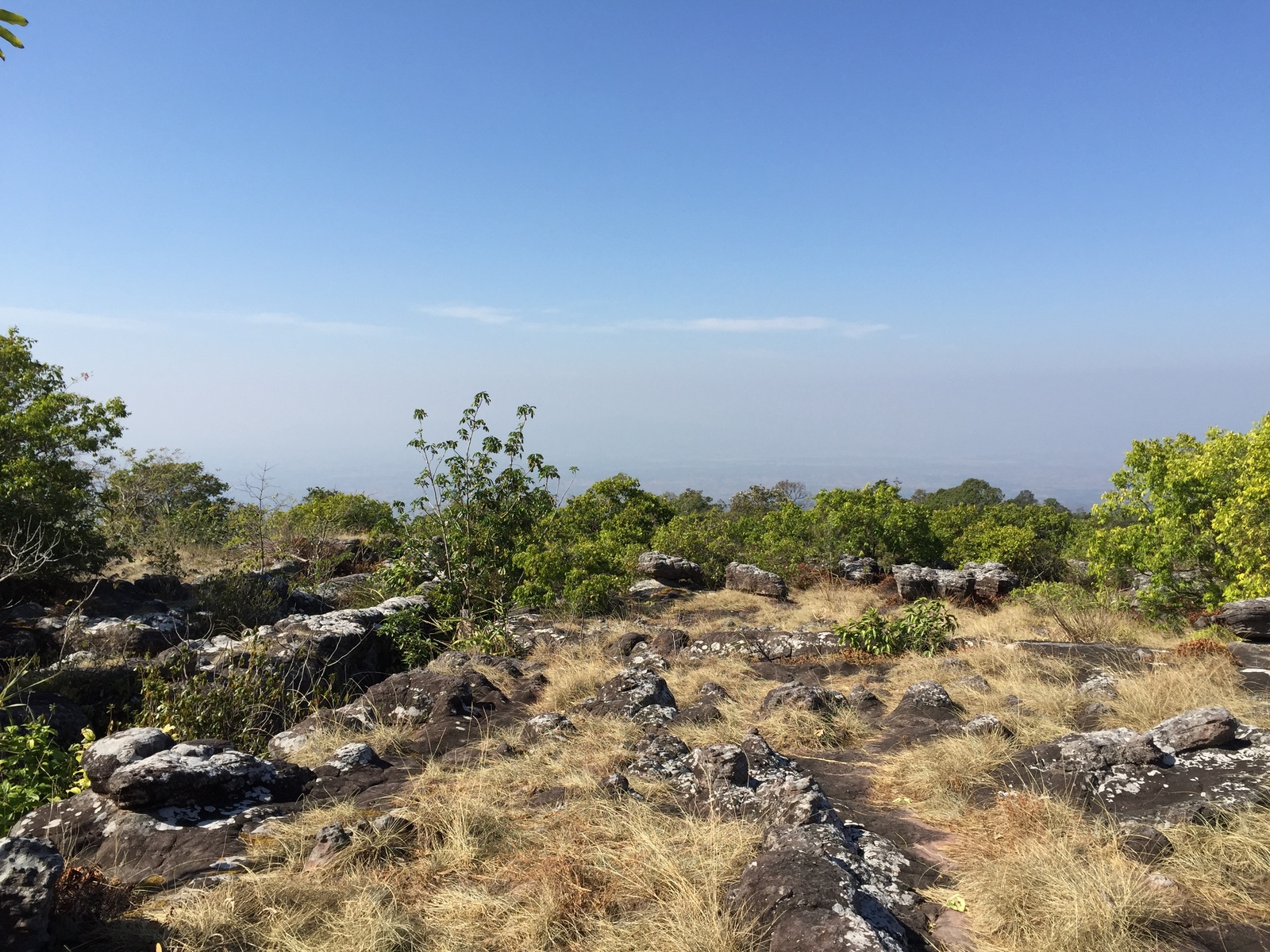 รูปถ่าย ไทย(Thailand) อุทยานแห่งชาติภูหินร่องกล้า(Phu Hin Rong Kla National Park) 2014-12 42