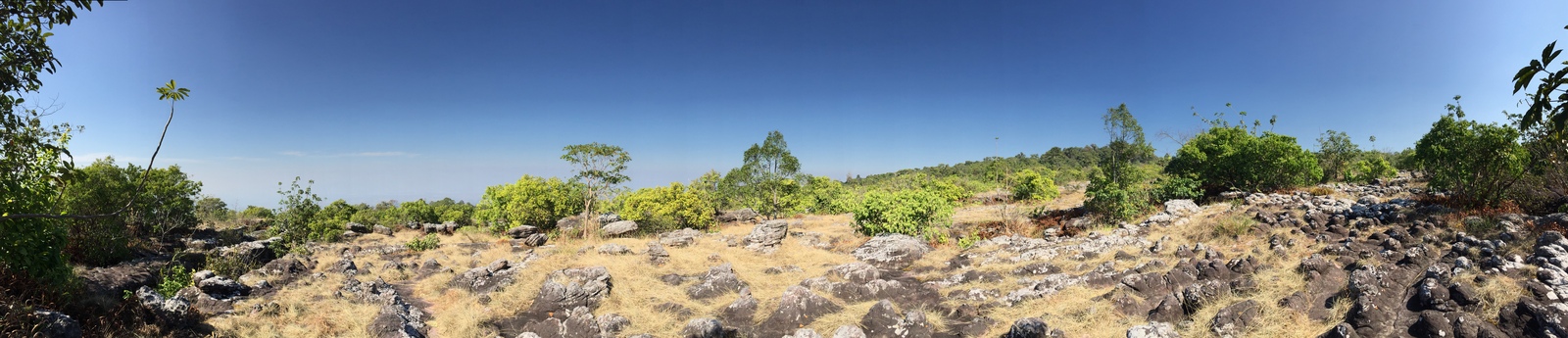 รูปถ่าย ไทย(Thailand) อุทยานแห่งชาติภูหินร่องกล้า(Phu Hin Rong Kla National Park) 2014-12 421