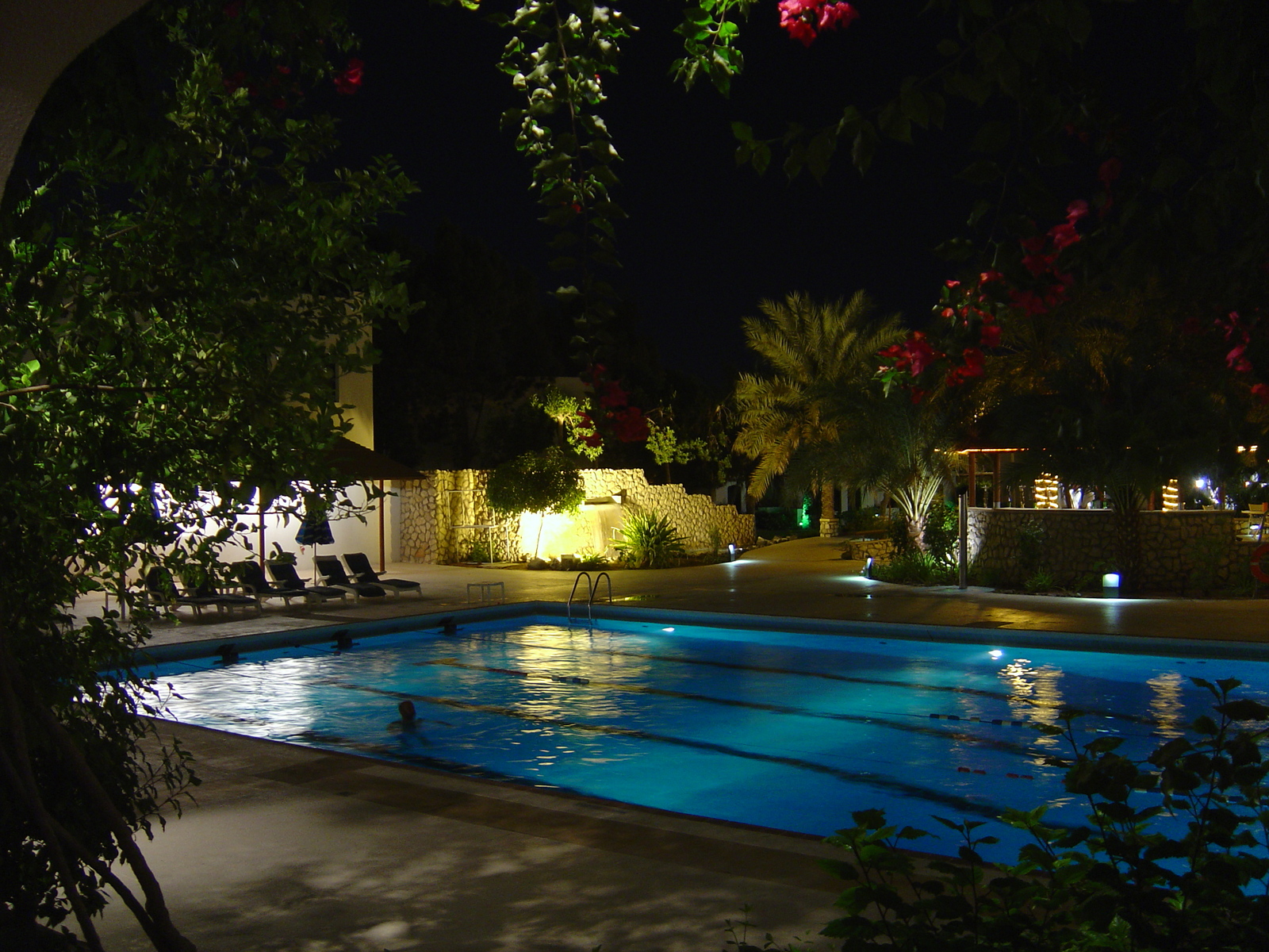 รูปถ่าย สหรัฐอาหรับเอมิเรตส์(United Arab Emirates) อาเลอิน(Al Ain) โรงแรมฮิลตัน(Hilton Hotel) 2005-03 8