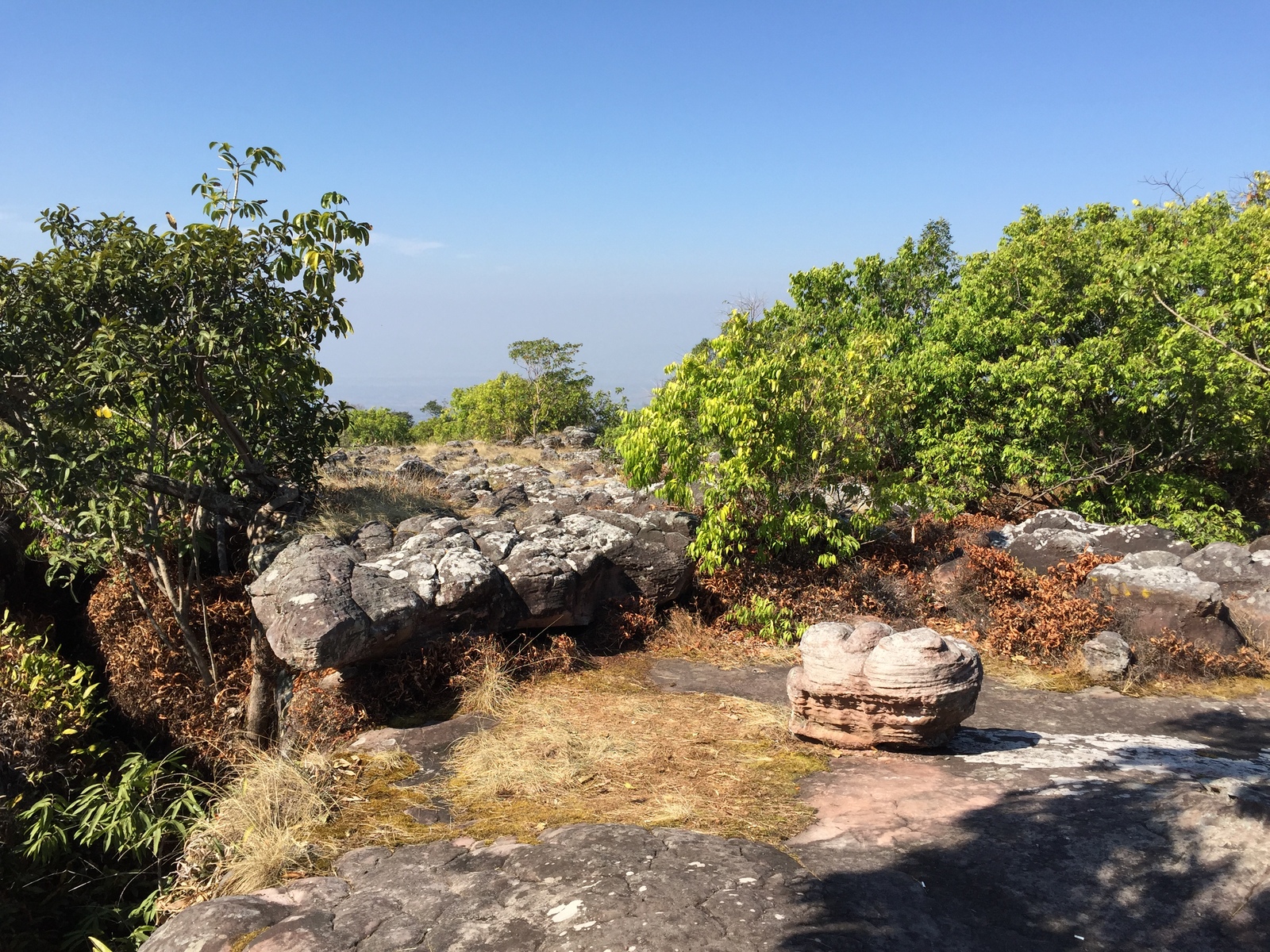 รูปถ่าย ไทย(Thailand) อุทยานแห่งชาติภูหินร่องกล้า(Phu Hin Rong Kla National Park) 2014-12 316