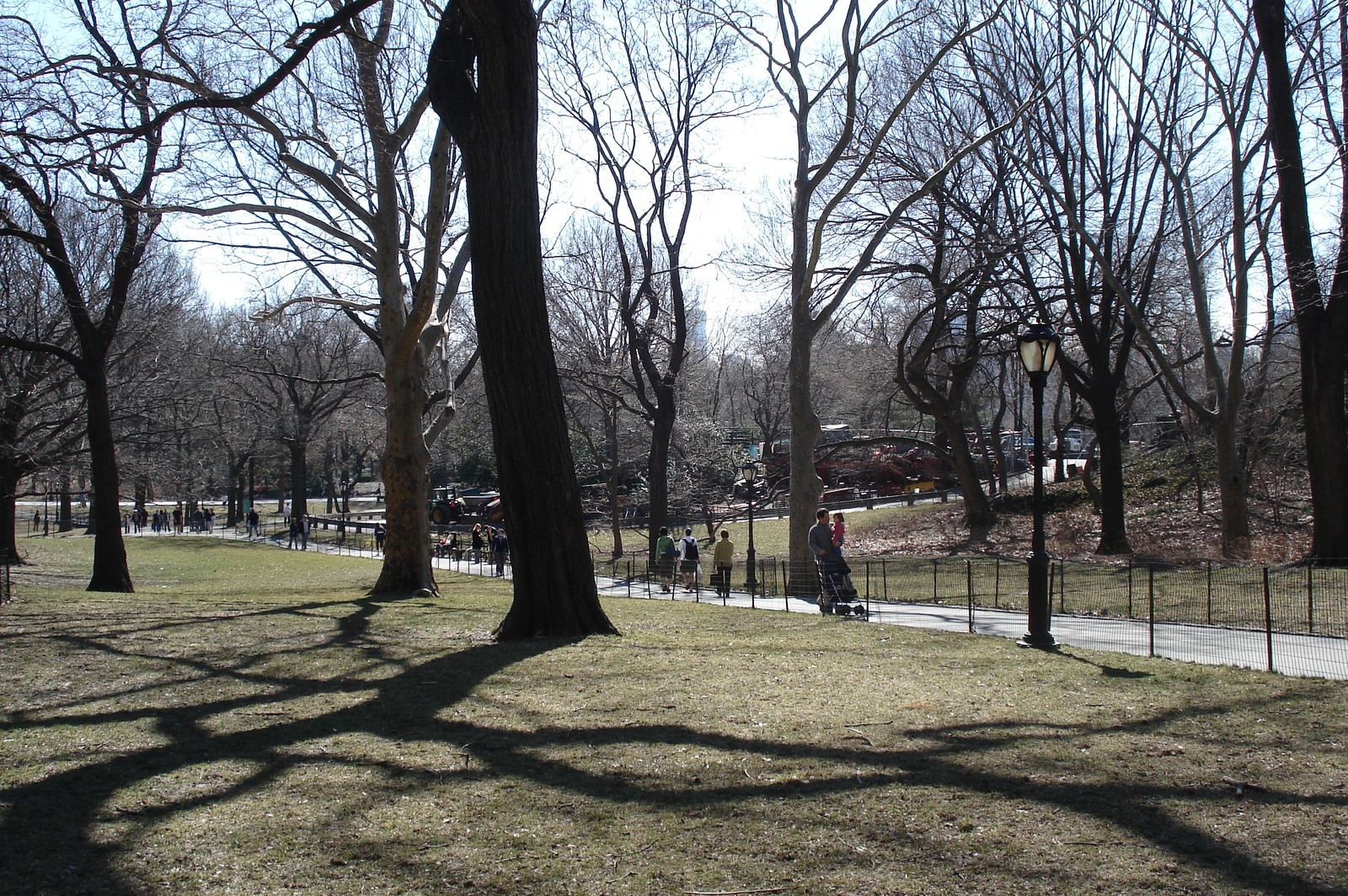 รูปถ่าย สหรัฐอเมริกา(United States) นิวยอร์ก(New York) เซ็นทรัลพาร์ก(Central Park) 2006-03 22