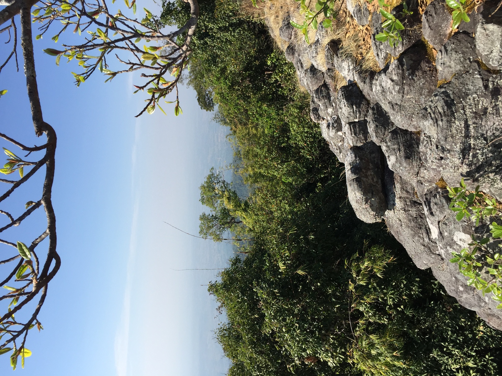 รูปถ่าย ไทย(Thailand) อุทยานแห่งชาติภูหินร่องกล้า(Phu Hin Rong Kla National Park) 2014-12 348