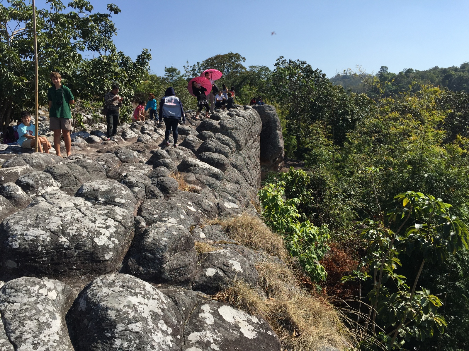 รูปถ่าย ไทย(Thailand) อุทยานแห่งชาติภูหินร่องกล้า(Phu Hin Rong Kla National Park) 2014-12 351