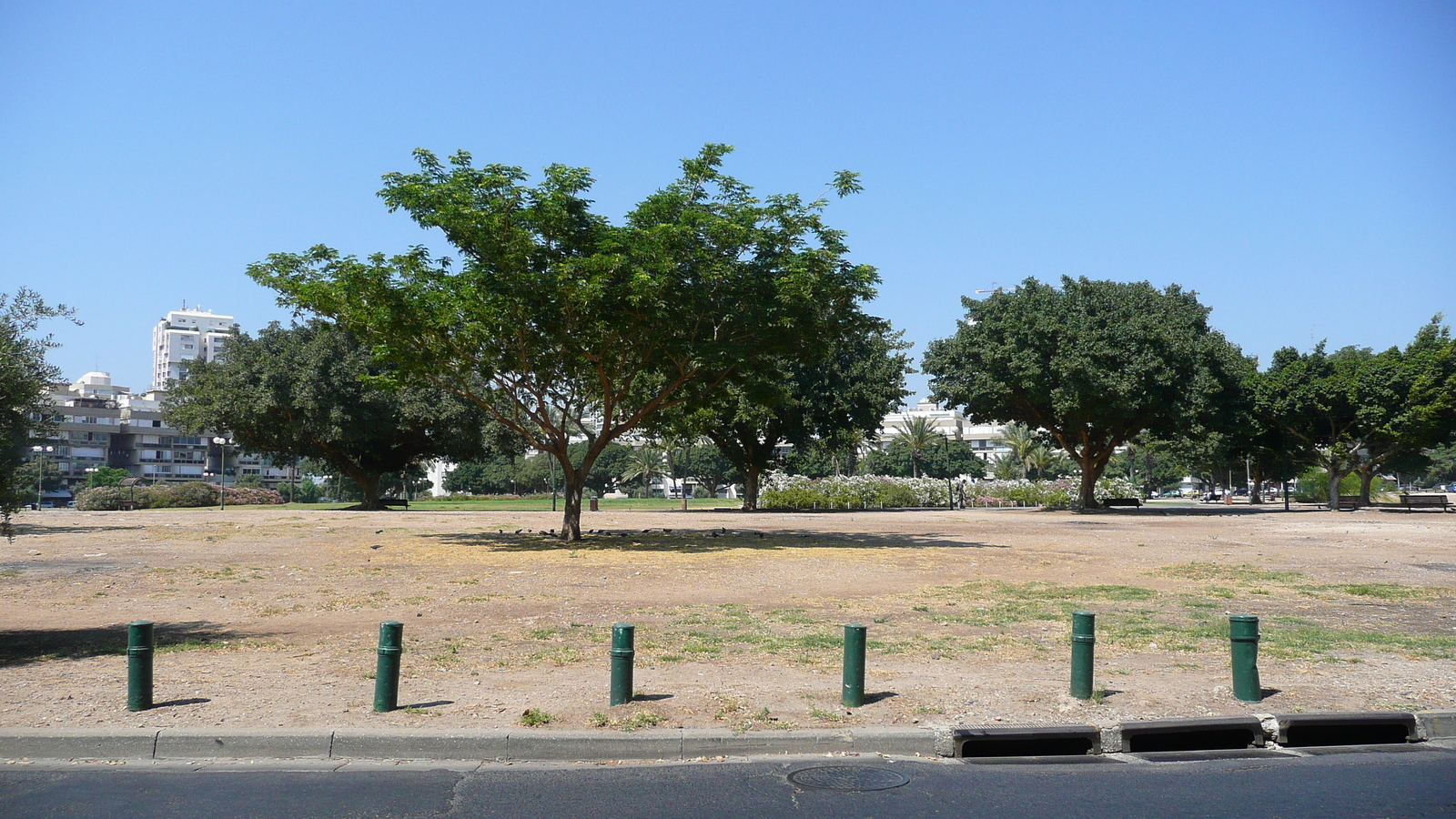 รูปถ่าย อิสราเอล(Israel) เทลอาวีฟ(Tel Aviv) จัตุรัสกิการ์ฮาเมดีนา(Kikar Hamedina) 2007-06 15