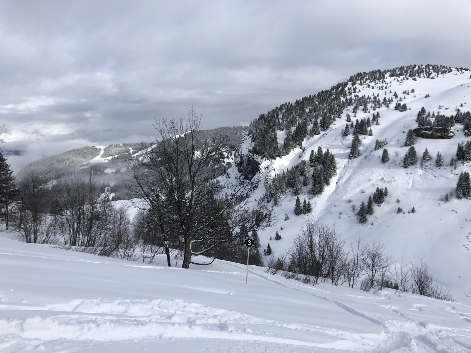 รูปถ่าย ฝรั่งเศส(France) ปรา-ซูร์-อาร์ลี(Praz sur Arly) 2019-12 94
