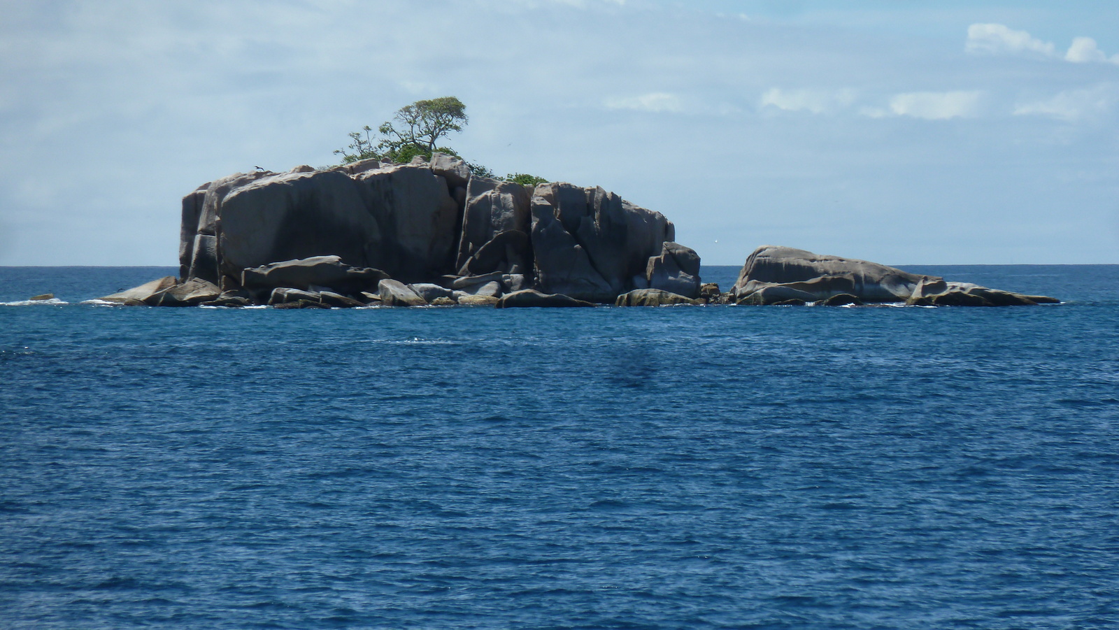 รูปถ่าย เซเชลส์(Seychelles) เกาะโกโก้(Coco Island) 2011-10 30