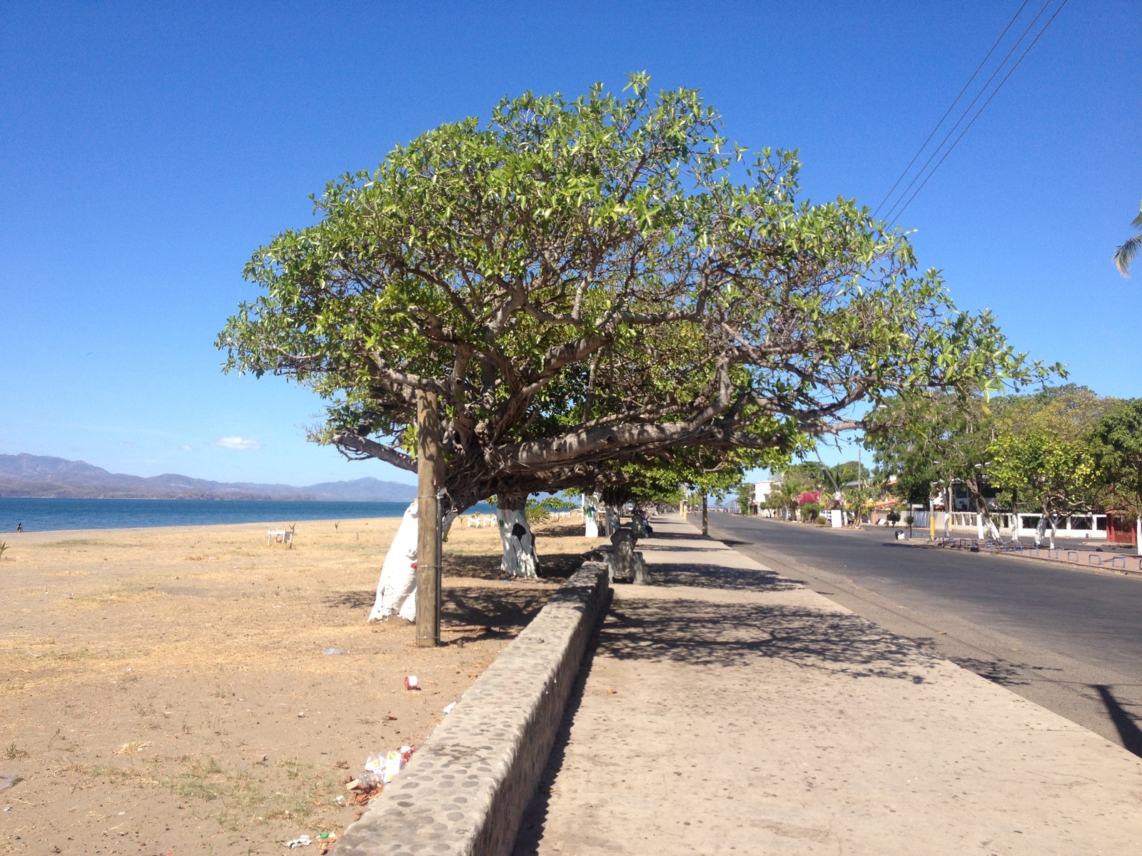 รูปถ่าย คอสตาริกา(Costa Rica) ปุนตาเรนัส(Puntarenas) 2015-03 79