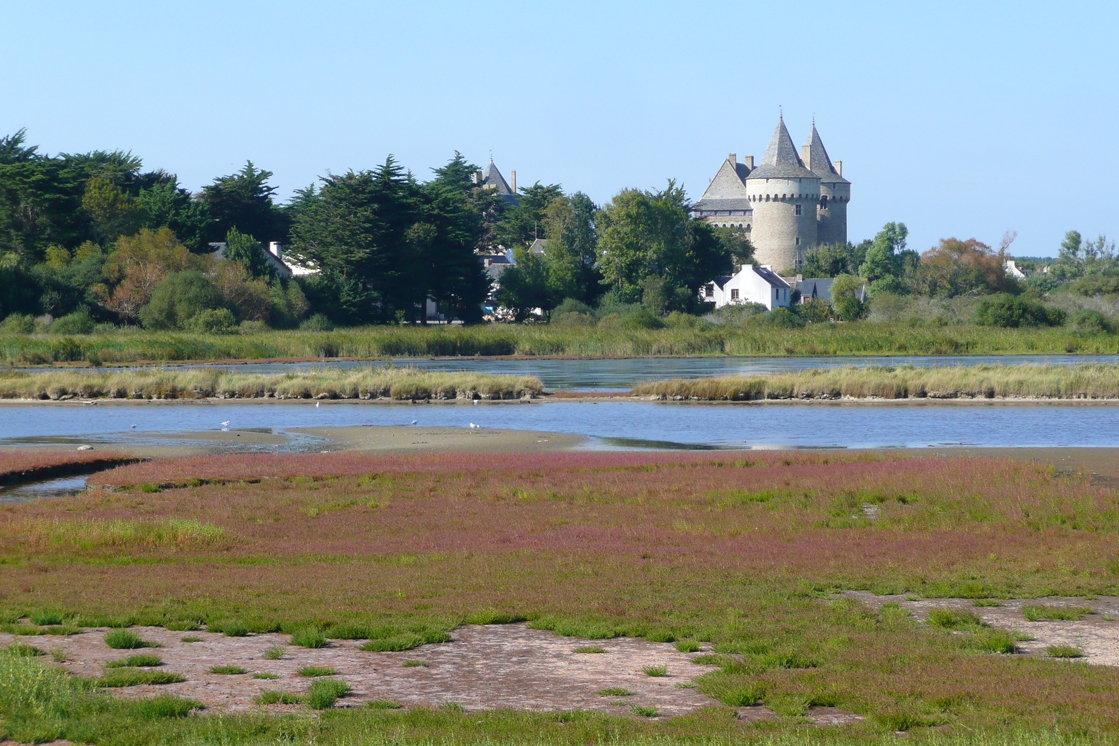 รูปถ่าย ฝรั่งเศส(France) ซืสซีนีโอ(Suscinio) 2007-09 13