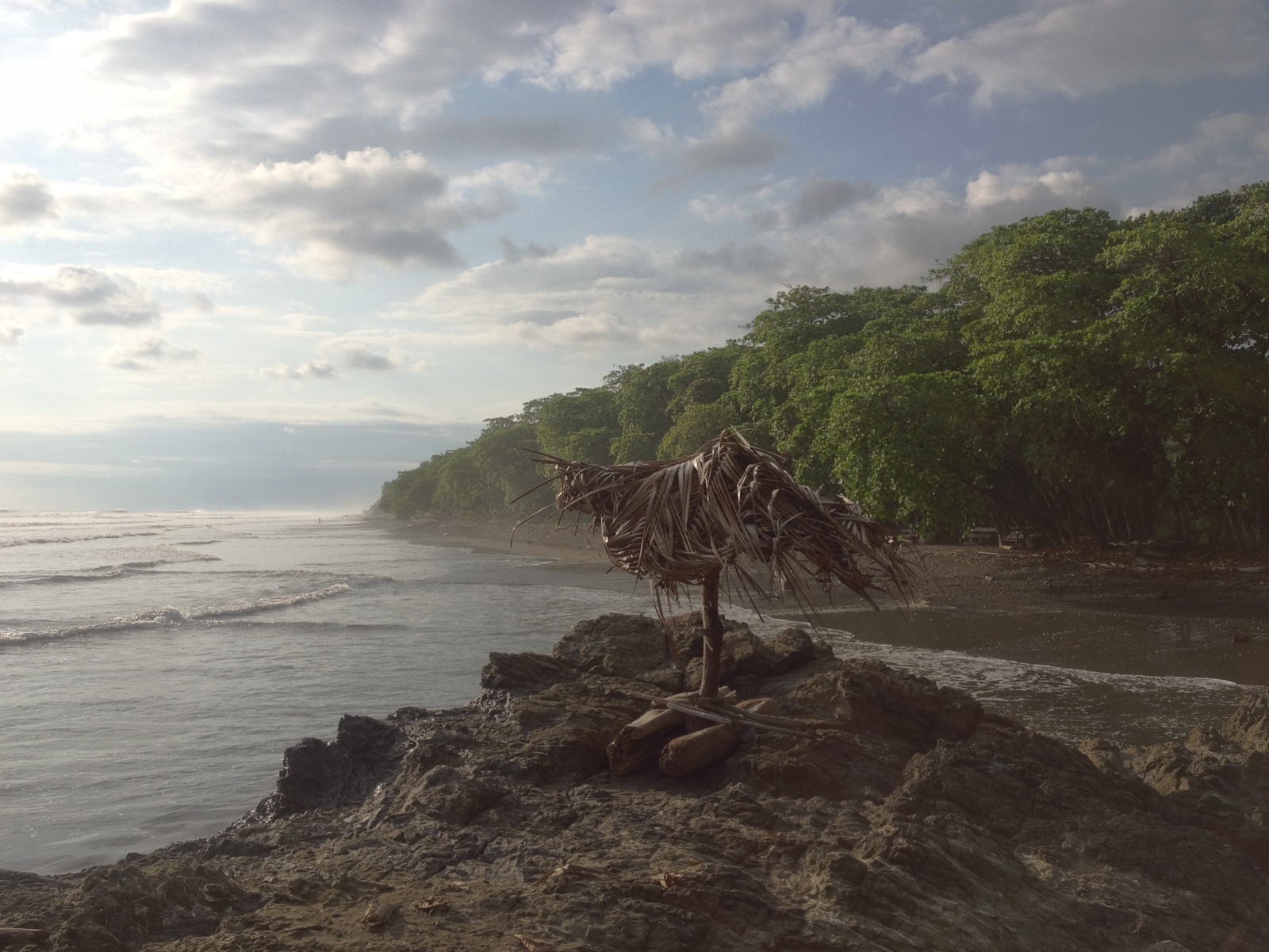 รูปถ่าย คอสตาริกา(Costa Rica) โดมินิกัล(Dominical) 2015-03 47