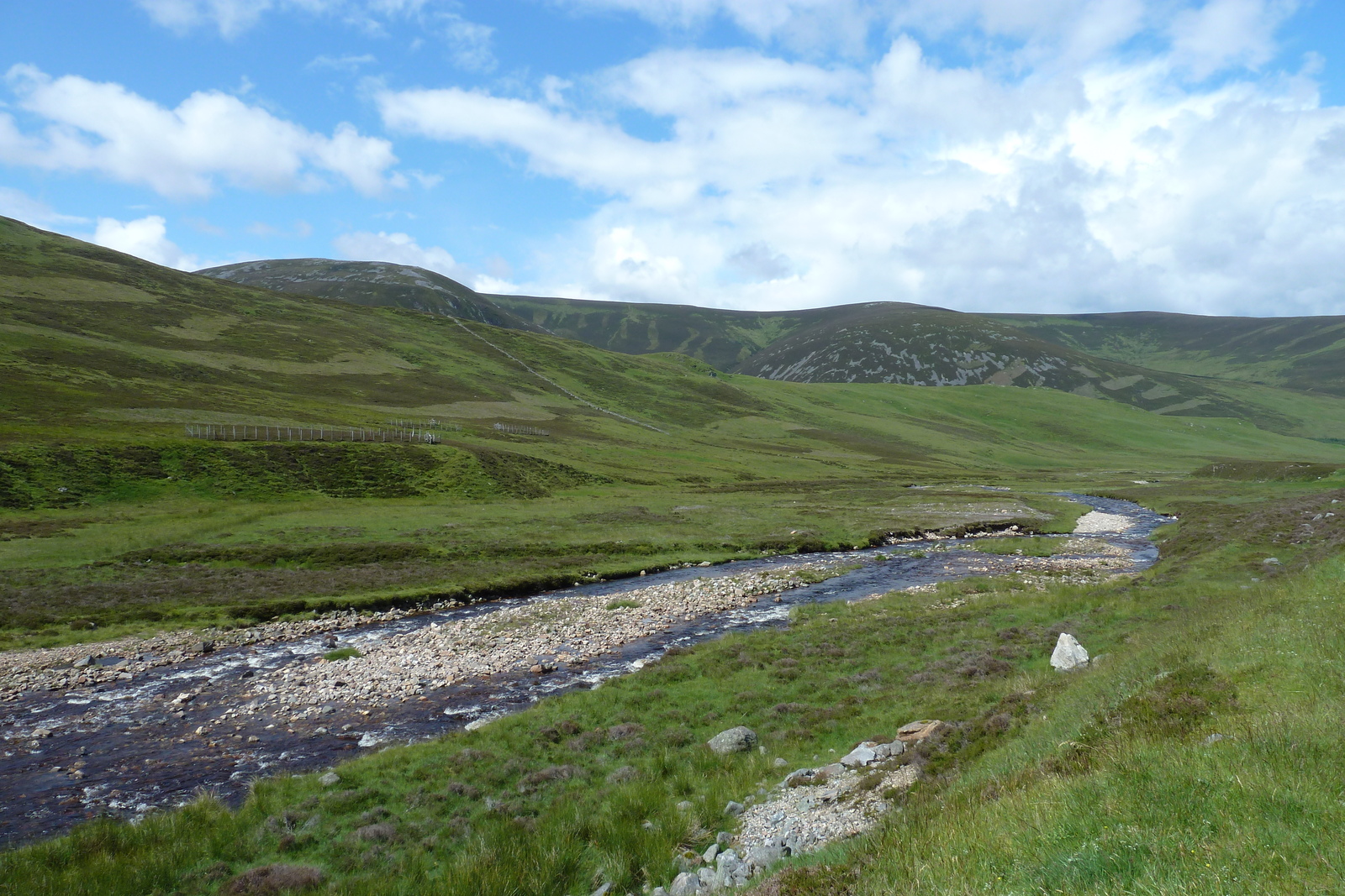 รูปถ่าย อังกฤษ(United Kingdom) อุทยานแห่งชาติแคร์นกอร์มส์(Cairngorms National Park) 2011-07 75