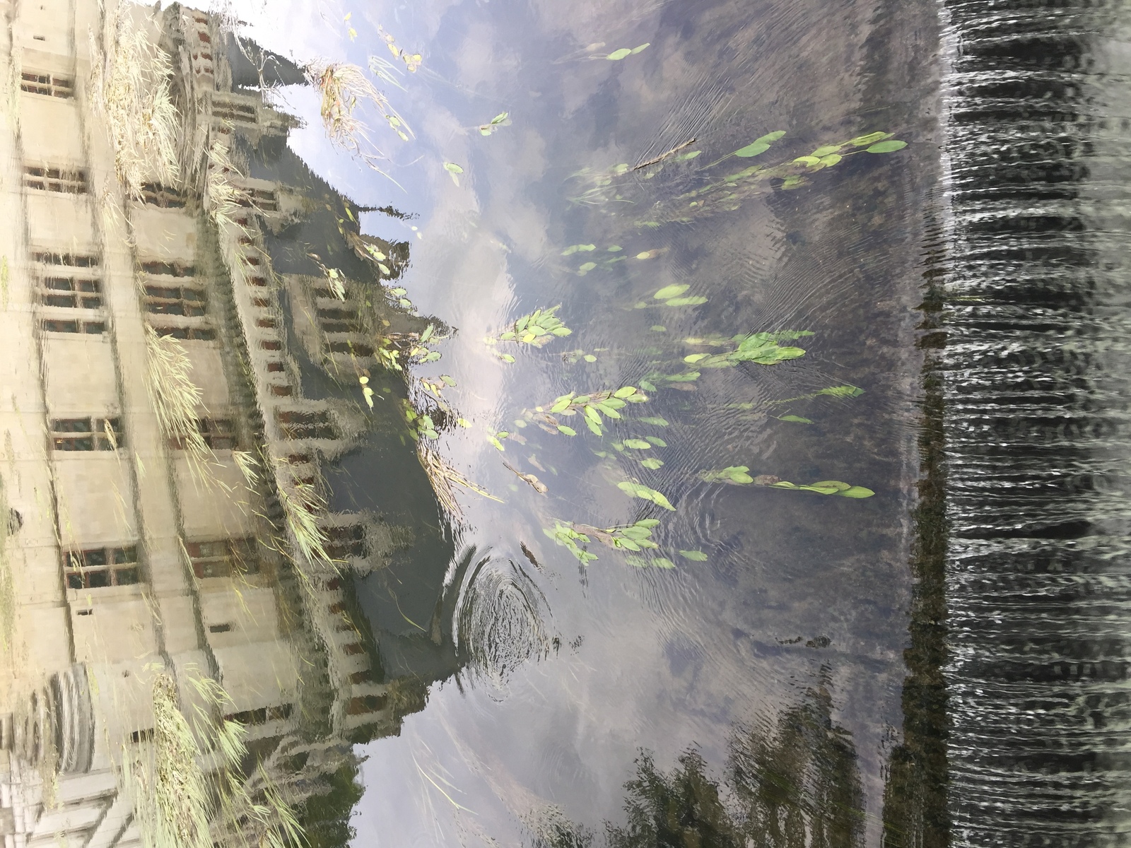 รูปถ่าย ฝรั่งเศส(France) ปราสาทอาแซ-เลอ-รีโด(Azay-le-Rideau Castle) 2017-08 40