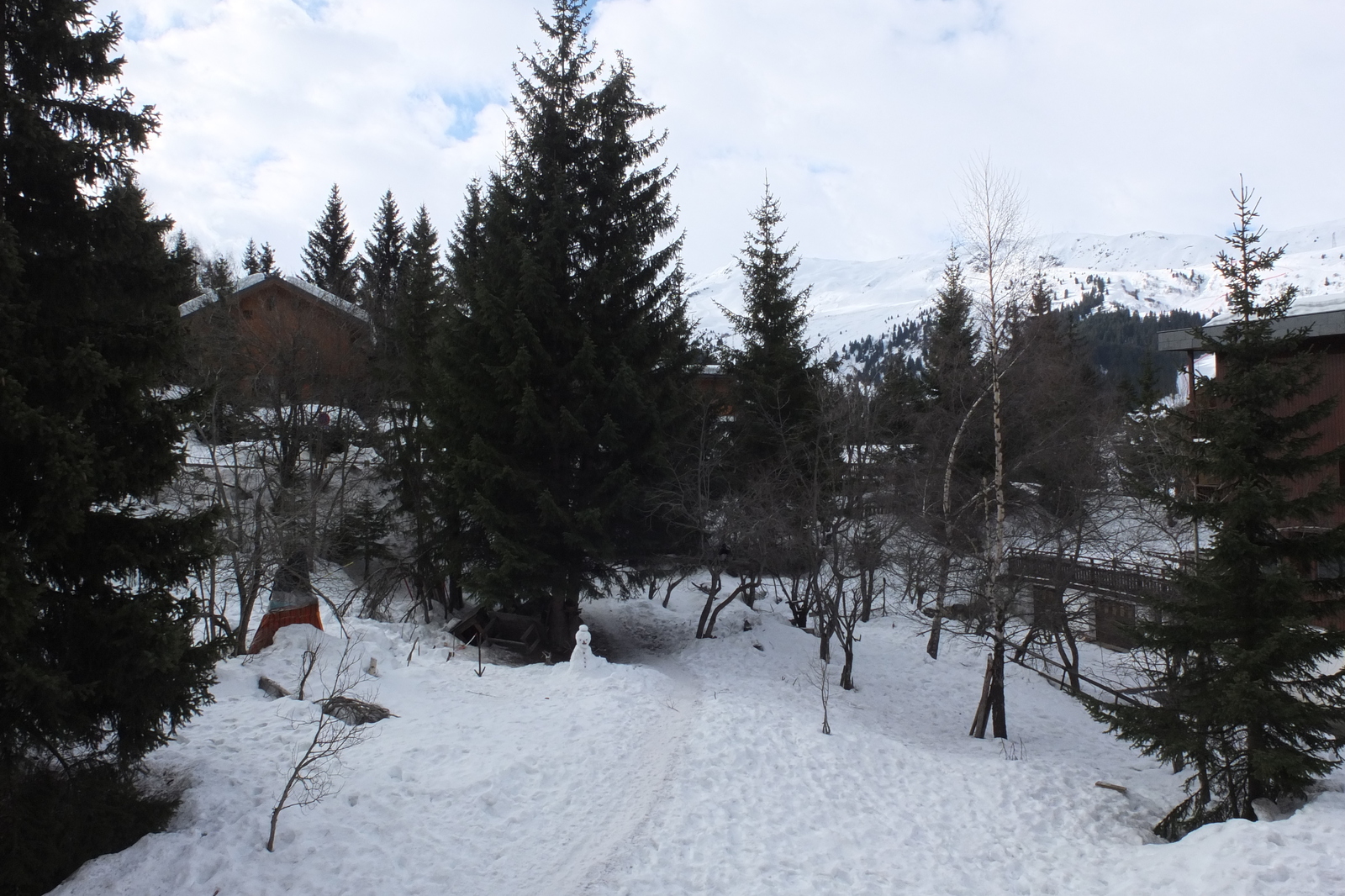 รูปถ่าย ฝรั่งเศส(France) เลทรัววาเล(Les 3 Vallees) 2013-03 324