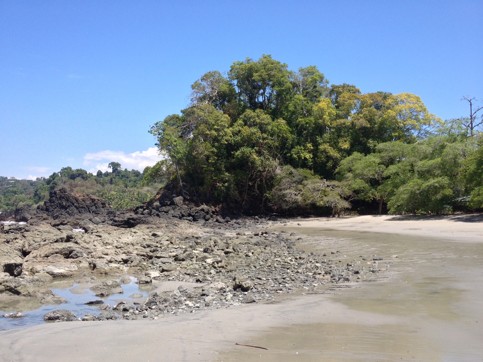 รูปถ่าย คอสตาริกา(Costa Rica) มานวยล์อันโตนีโอ(Manuel Antonio) 2015-03 104