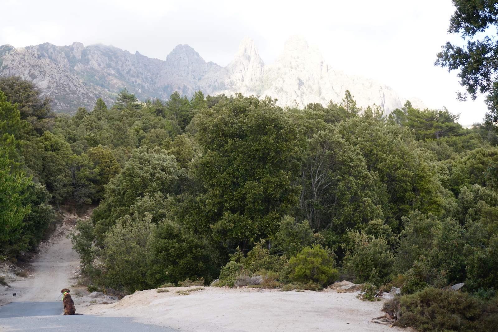 รูปถ่าย ฝรั่งเศส(France) คอร์สิคา(Corsica) ยอดเขาบาแวลลา(Aiguilles de Bavella) 2017-09 17