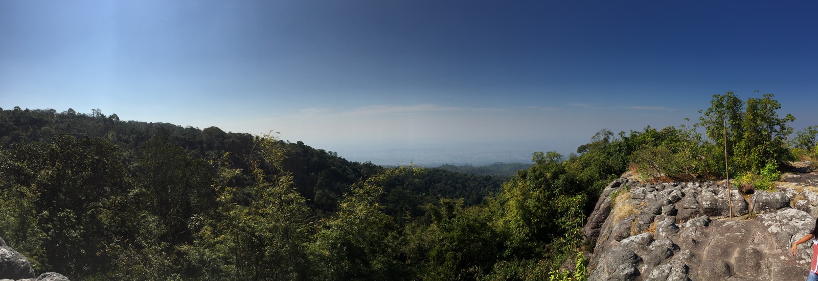 รูปถ่าย ไทย(Thailand) อุทยานแห่งชาติภูหินร่องกล้า(Phu Hin Rong Kla National Park) 2014-12 313