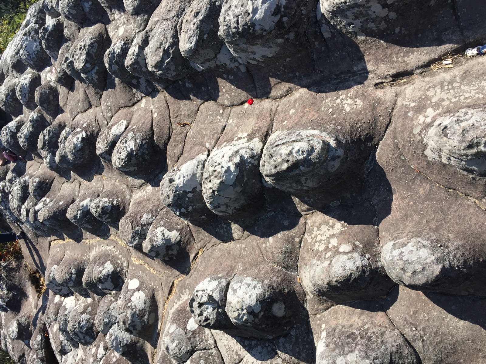 รูปถ่าย ไทย(Thailand) อุทยานแห่งชาติภูหินร่องกล้า(Phu Hin Rong Kla National Park) 2014-12 354