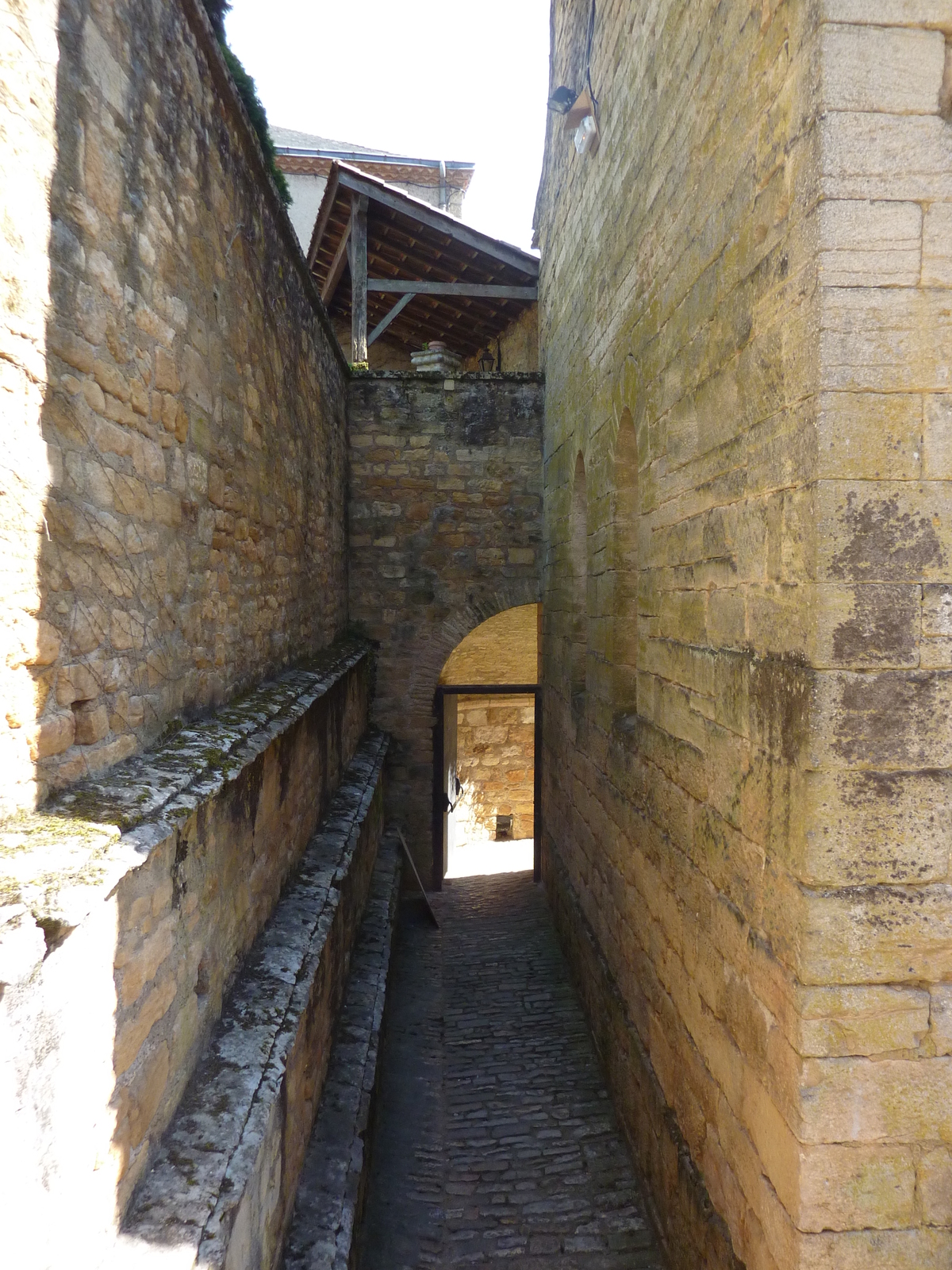 รูปถ่าย ฝรั่งเศส(France) ซาร์ลา-ลา-กาเนดา(Sarlat la Caneda) 2009-07 71
