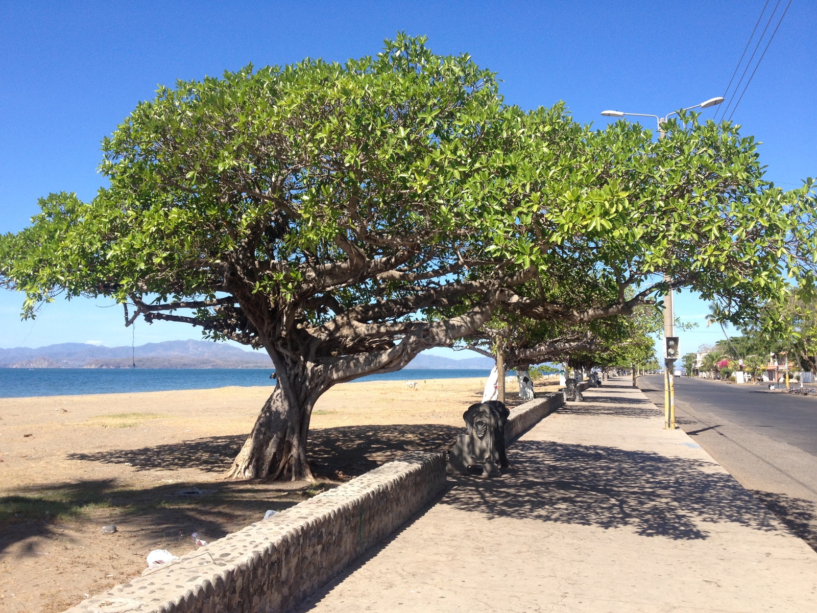 รูปถ่าย คอสตาริกา(Costa Rica) ปุนตาเรนัส(Puntarenas) 2015-03 111