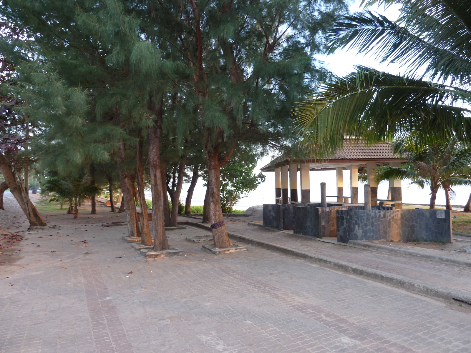 รูปถ่าย ไทย(Thailand) ระยอง(Rayong) 2011-12 39