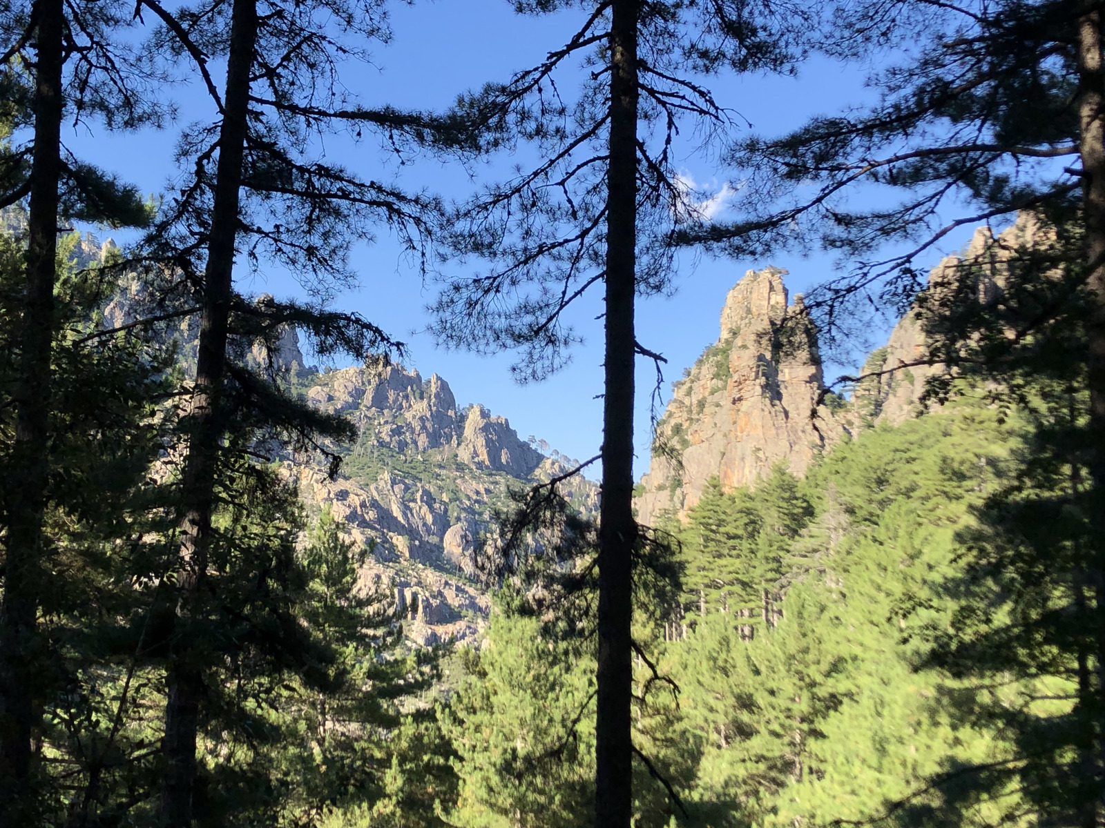 รูปถ่าย ฝรั่งเศส(France) คอร์สิคา(Corsica) หุบเขาลาเรสโตนีกา(La Restonica) 2020-07 99