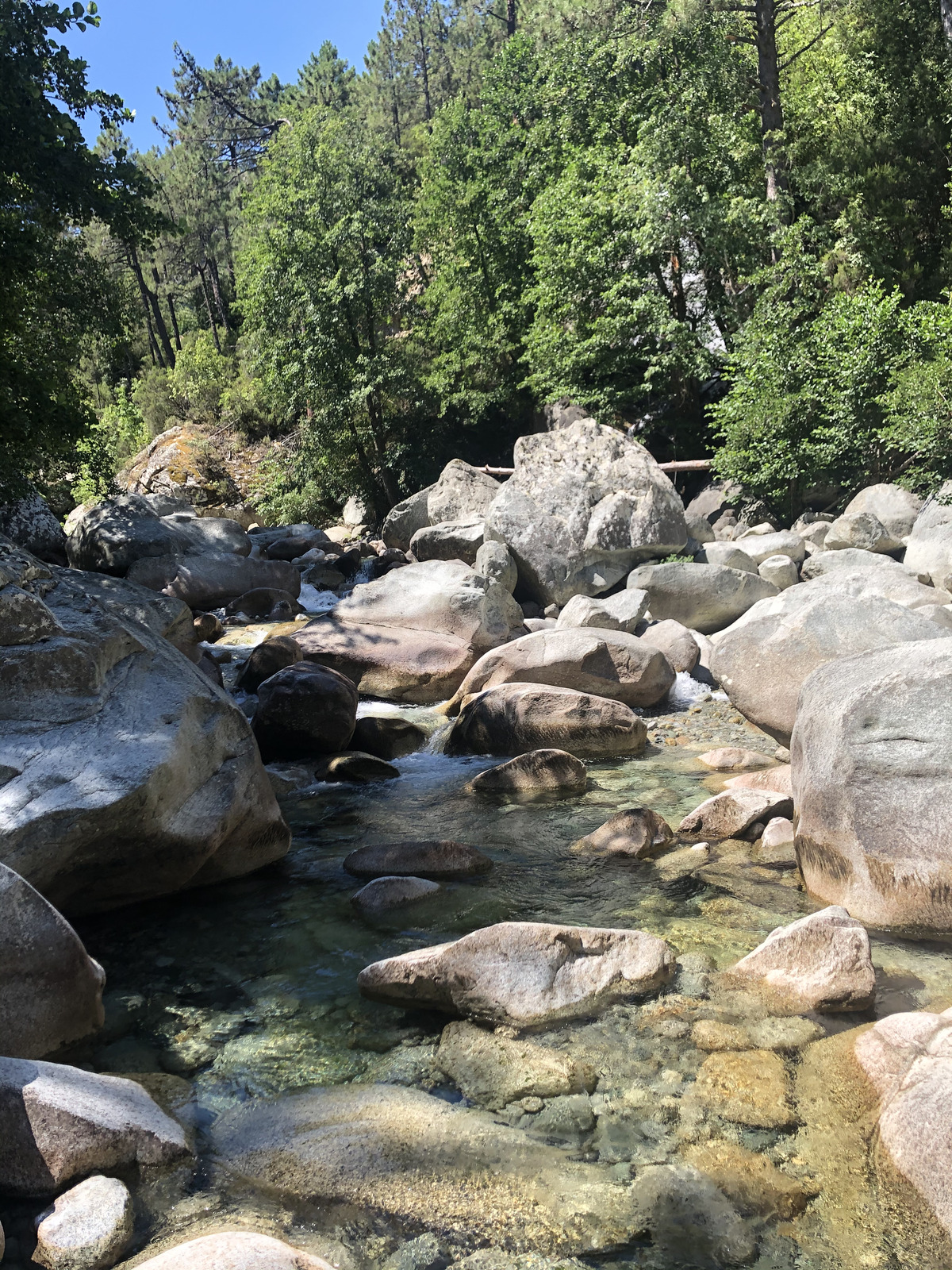 รูปถ่าย ฝรั่งเศส(France) คอร์สิคา(Corsica) หุบเขาลาเรสโตนีกา(La Restonica) 2020-07 111