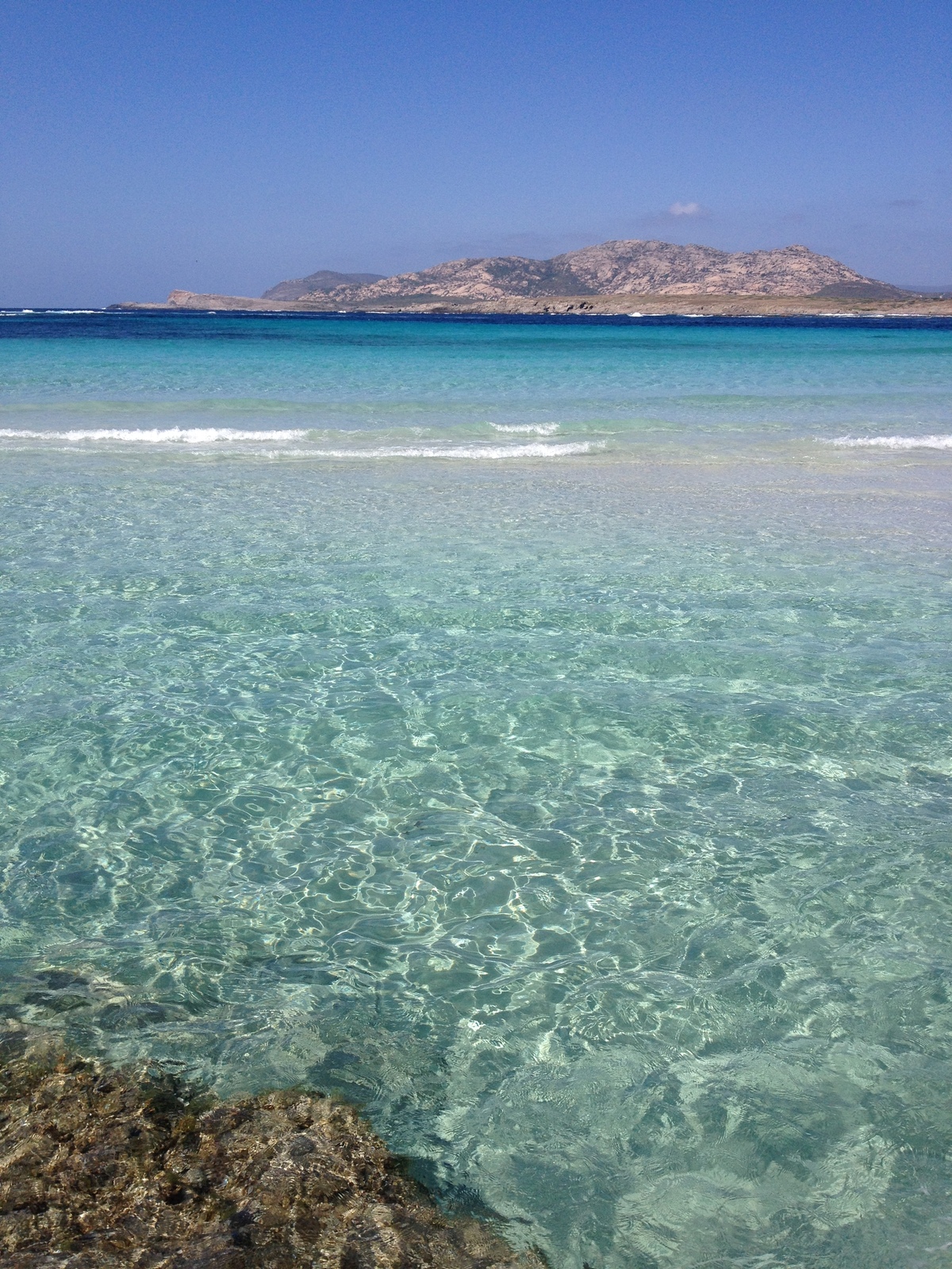รูปถ่าย อิตาลี(Italy) ซาร์ดิเนีย(Sardinia) แหลมกาโปเดลฟัลโกเน(Capo del Falcone) 2015-06 67