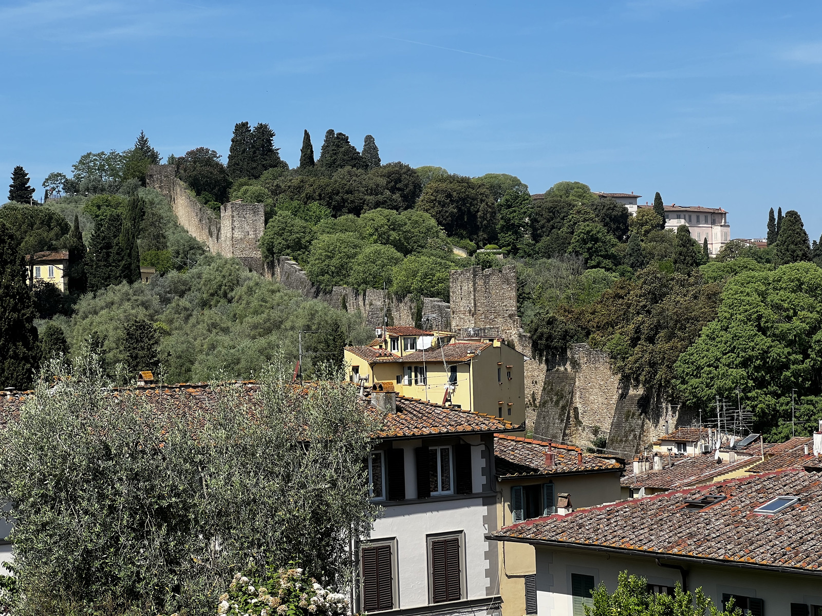 รูปถ่าย อิตาลี(Italy) ฟลอเรนซ์(Florence) 2022-05 65