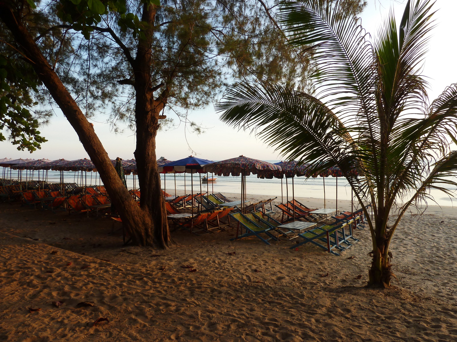 รูปถ่าย ไทย(Thailand) ระยอง(Rayong) 2011-12 59
