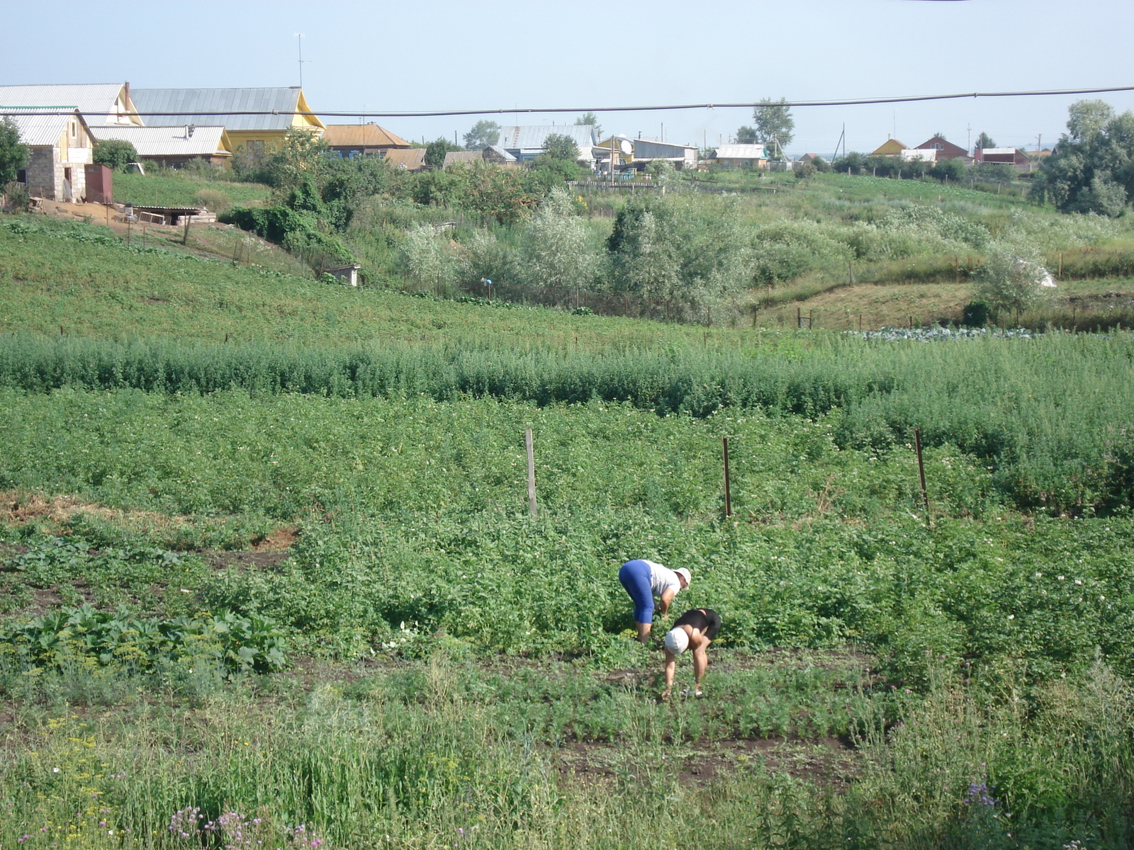 รูปถ่าย รัสเซีย(Russia) จากอูฟาไปคาซาน(From Ufa to Kazan) 2006-07 14