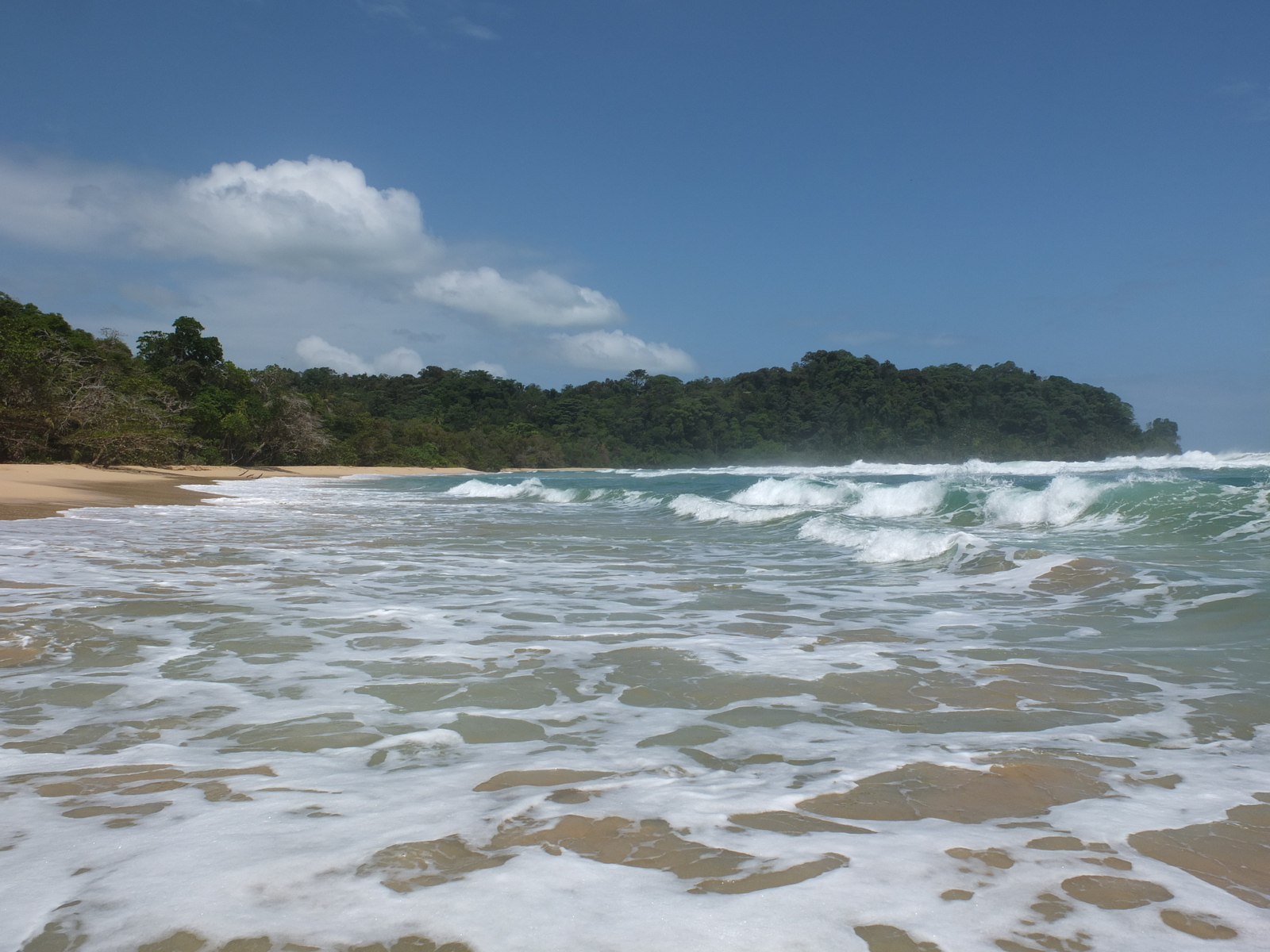 รูปถ่าย ปานามา(Panama) เกาะบาสติเมนโตส(Bastimentos) 2015-03 52