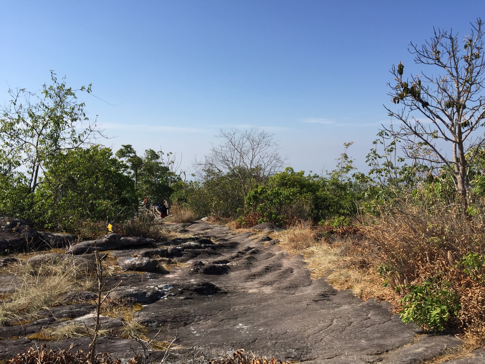 รูปถ่าย ไทย(Thailand) อุทยานแห่งชาติภูหินร่องกล้า(Phu Hin Rong Kla National Park) 2014-12 98