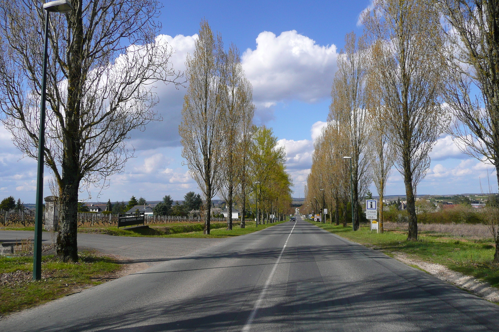 รูปถ่าย ฝรั่งเศส(France) อ็องบวซ(Amboise) ถนนจากเชอนงโซไปอ็องบวซ(Chenonceau to Amboise road) 2008-04 15