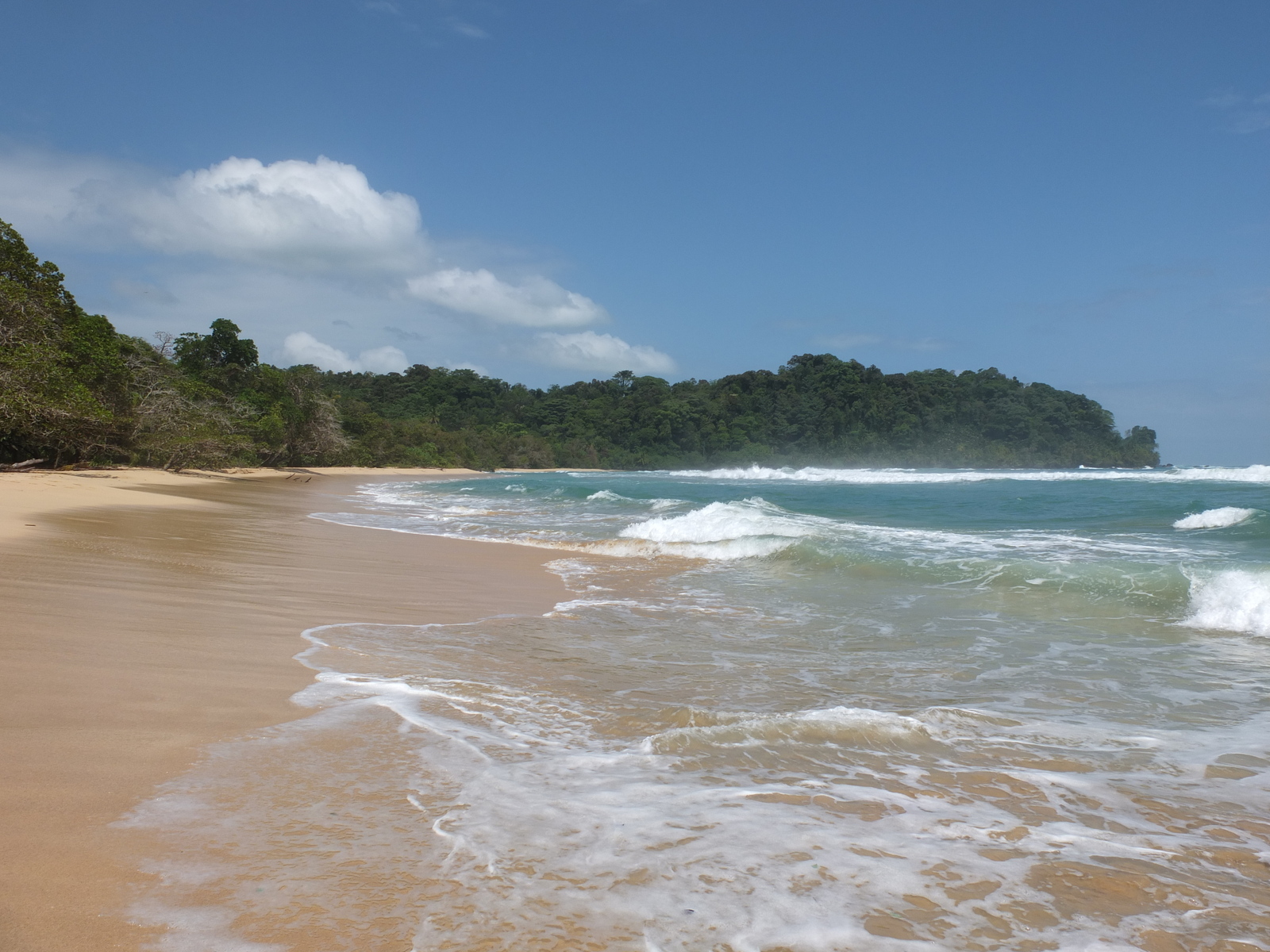 รูปถ่าย ปานามา(Panama) เกาะบาสติเมนโตส(Bastimentos) 2015-03 70