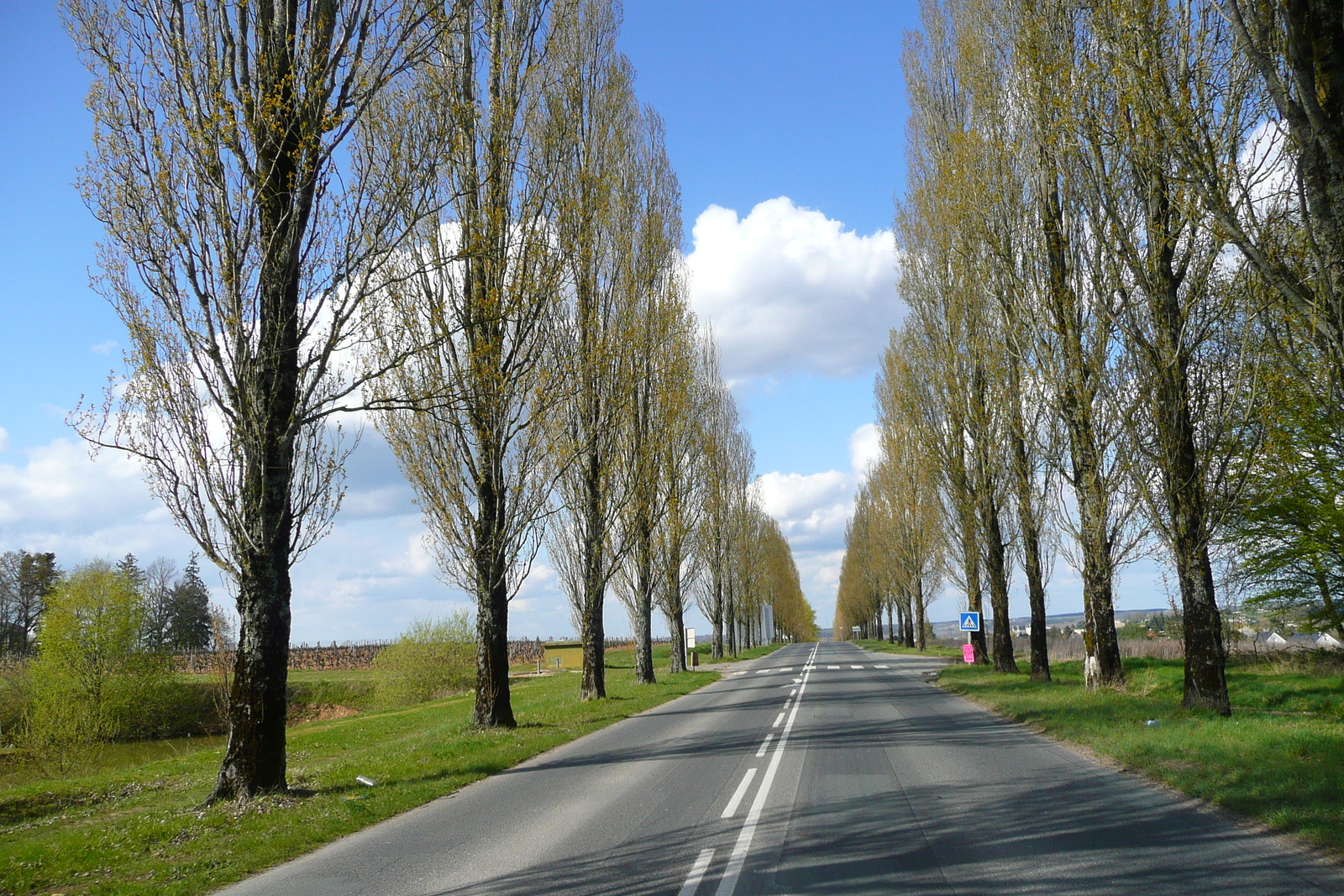 รูปถ่าย ฝรั่งเศส(France) อ็องบวซ(Amboise) ถนนจากเชอนงโซไปอ็องบวซ(Chenonceau to Amboise road) 2008-04 14
