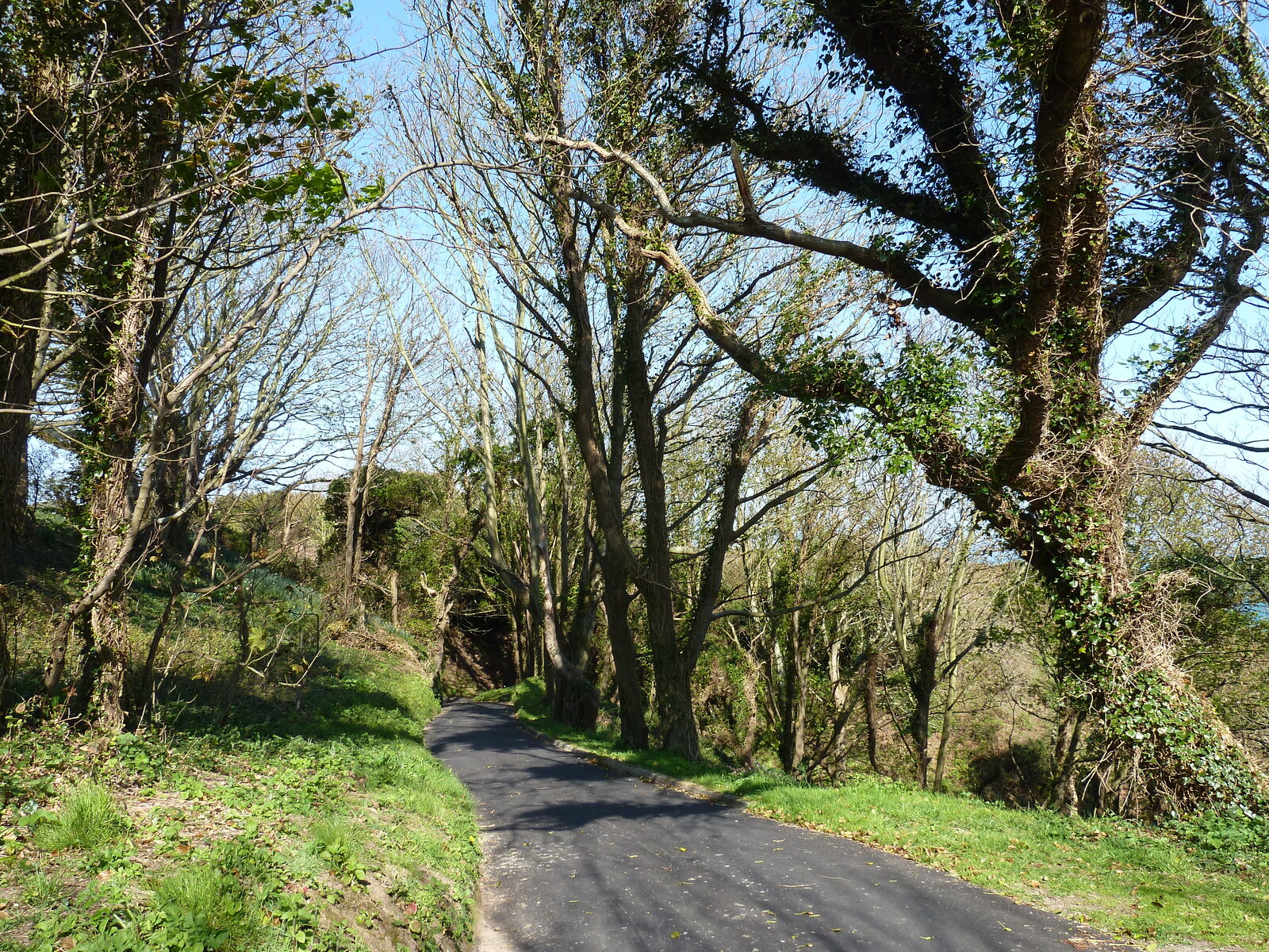 รูปถ่าย เจอร์ซีย์(Jersey) 2010-04 160