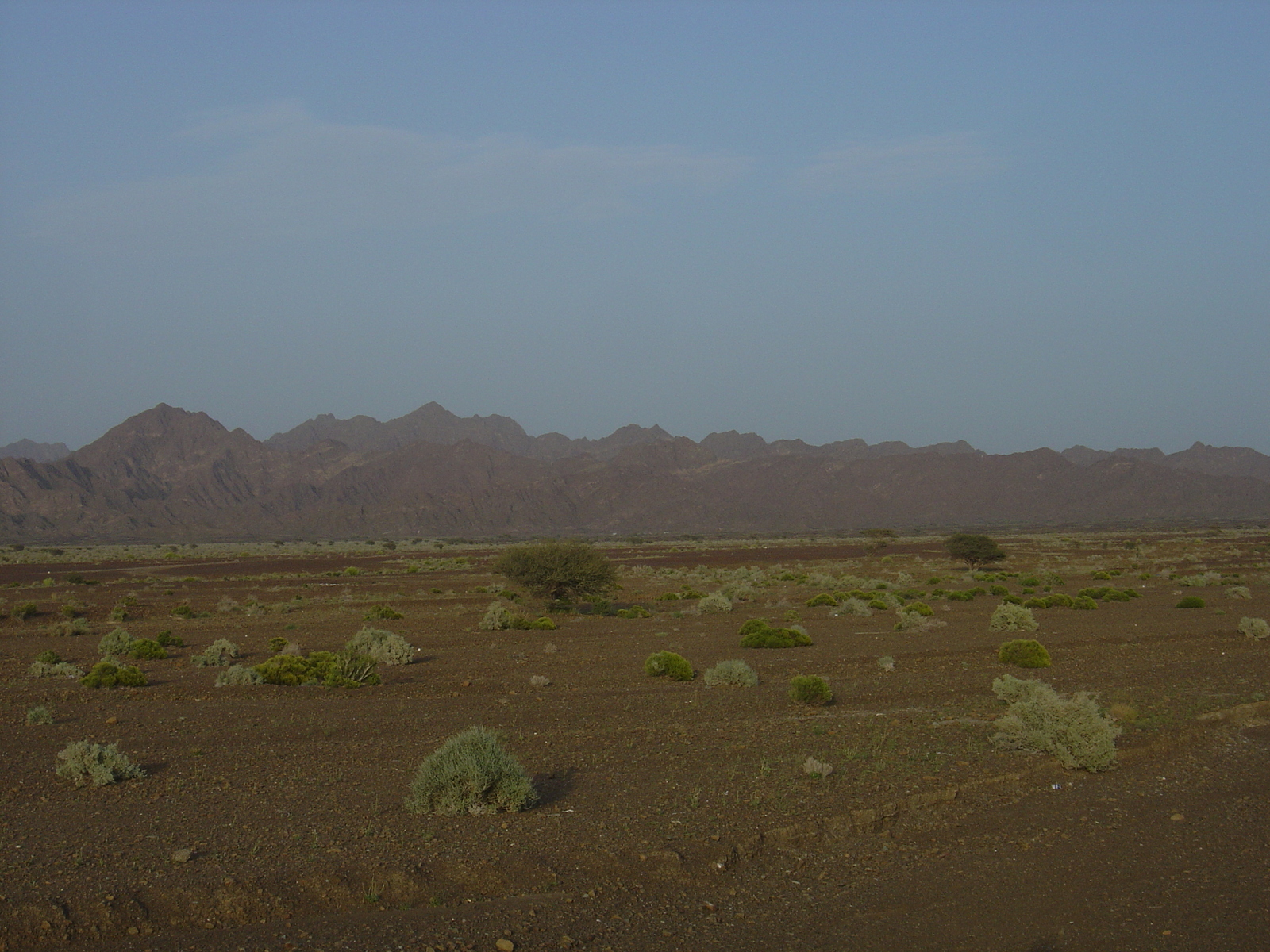 รูปถ่าย โอมาน(Oman) จากบูไมิไปถนนมาฮาดา(Buraimi to Mahada road) 2005-03 24