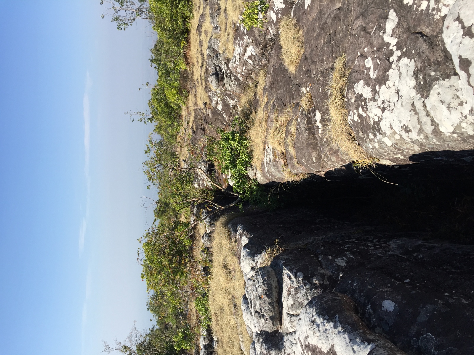 รูปถ่าย ไทย(Thailand) อุทยานแห่งชาติภูหินร่องกล้า(Phu Hin Rong Kla National Park) 2014-12 19