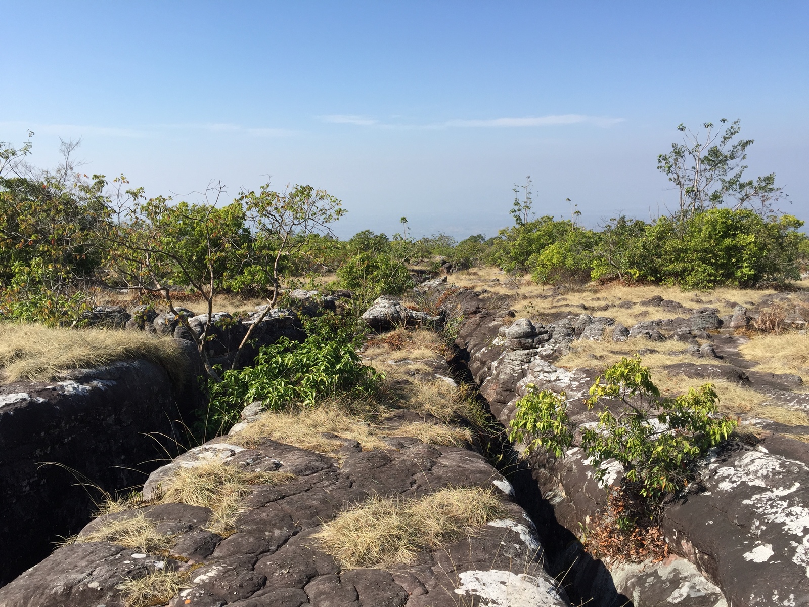 รูปถ่าย ไทย(Thailand) อุทยานแห่งชาติภูหินร่องกล้า(Phu Hin Rong Kla National Park) 2014-12 39