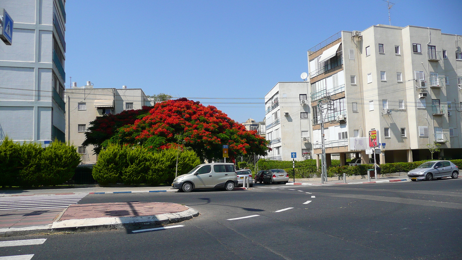 รูปถ่าย อิสราเอล(Israel) เทลอาวีฟ(Tel Aviv) ถนนจาบอตินสกี(Jabotinsky Street) 2007-06 9