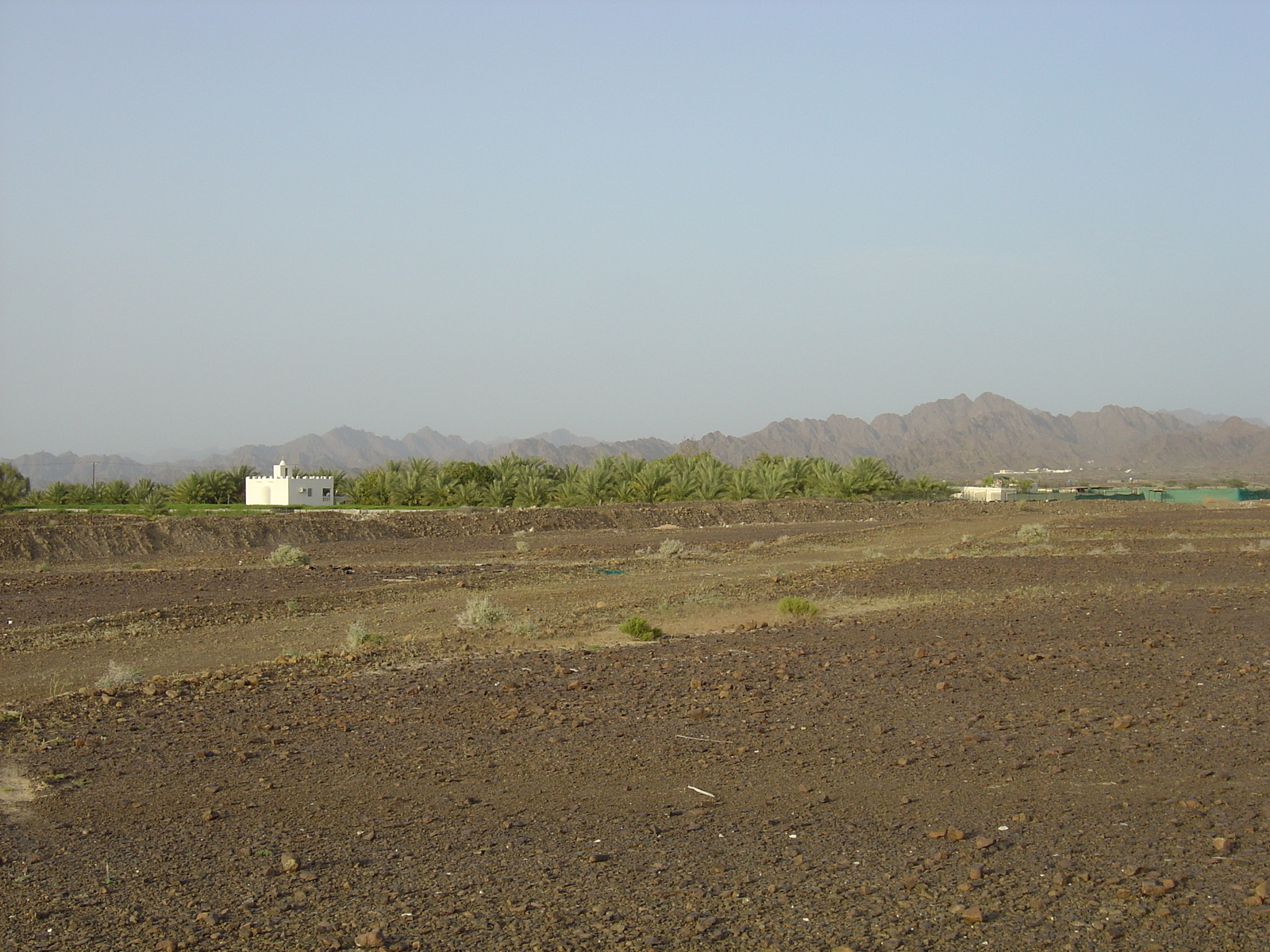รูปถ่าย โอมาน(Oman) จากบูไมิไปถนนมาฮาดา(Buraimi to Mahada road) 2005-03 21