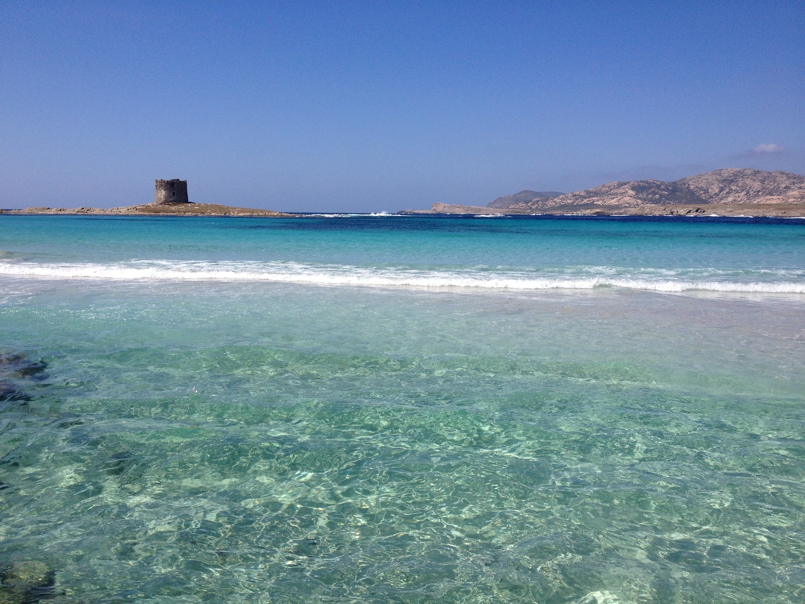 รูปถ่าย อิตาลี(Italy) ซาร์ดิเนีย(Sardinia) แหลมกาโปเดลฟัลโกเน(Capo del Falcone) 2015-06 14